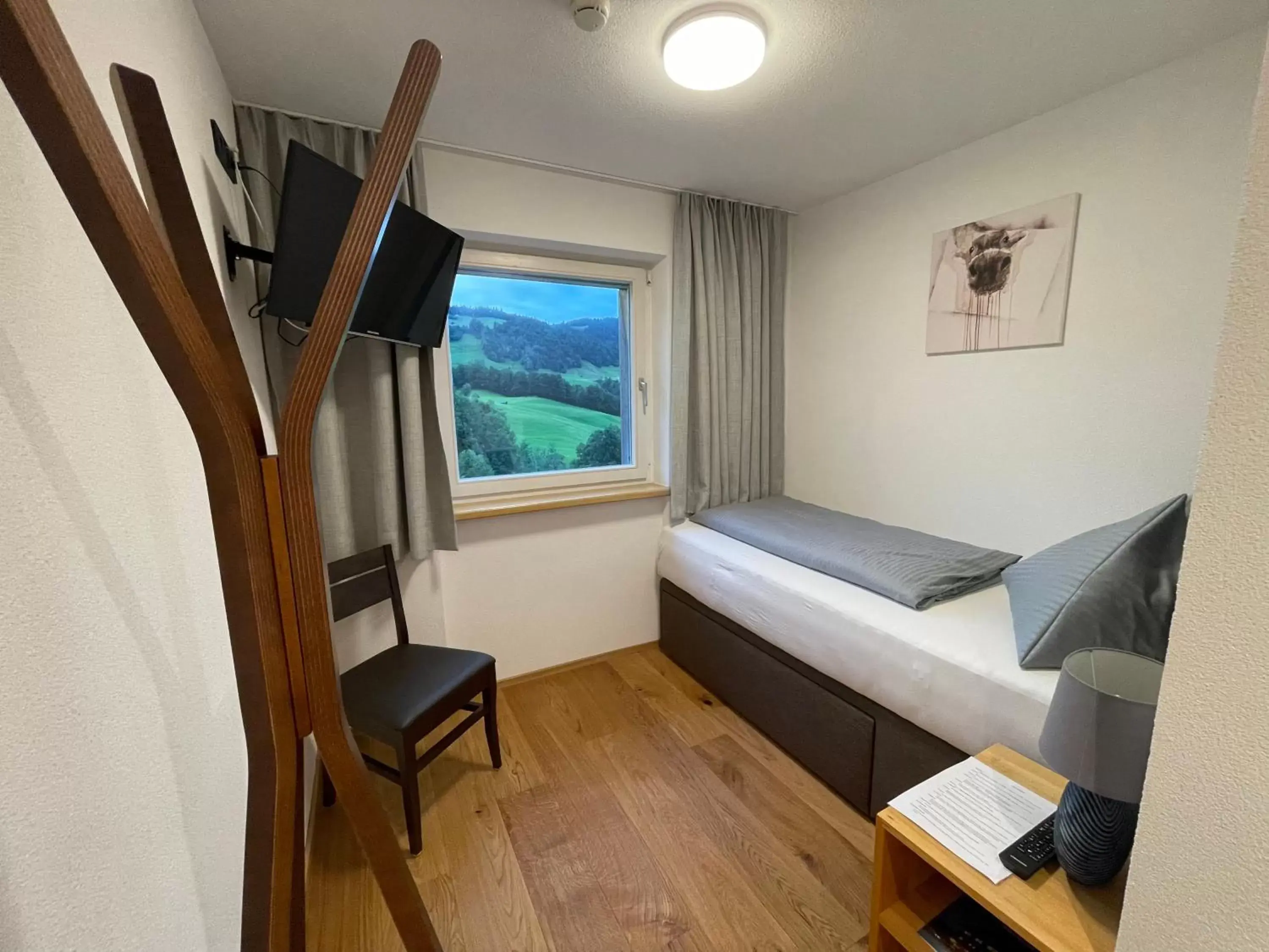 Single Room without Balcony in Panoramahotel Sonnhalde Single Room without Balcony in Panoramahotel Sonnhalde