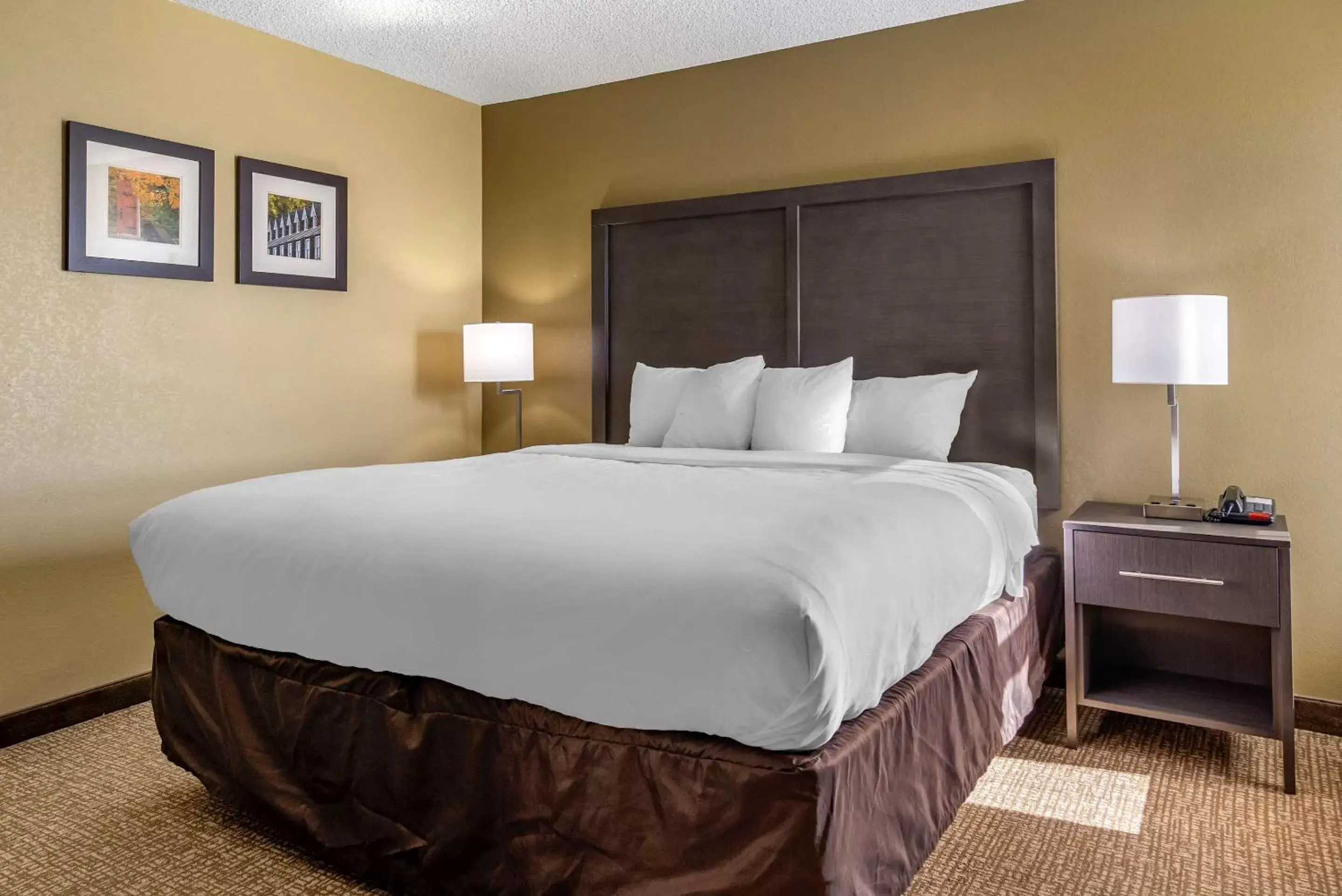 King Suite - Non-Smoking in Comfort Inn Opelika - Auburn King Suite - Non-Smoking in Comfort Inn Opelika - Auburn