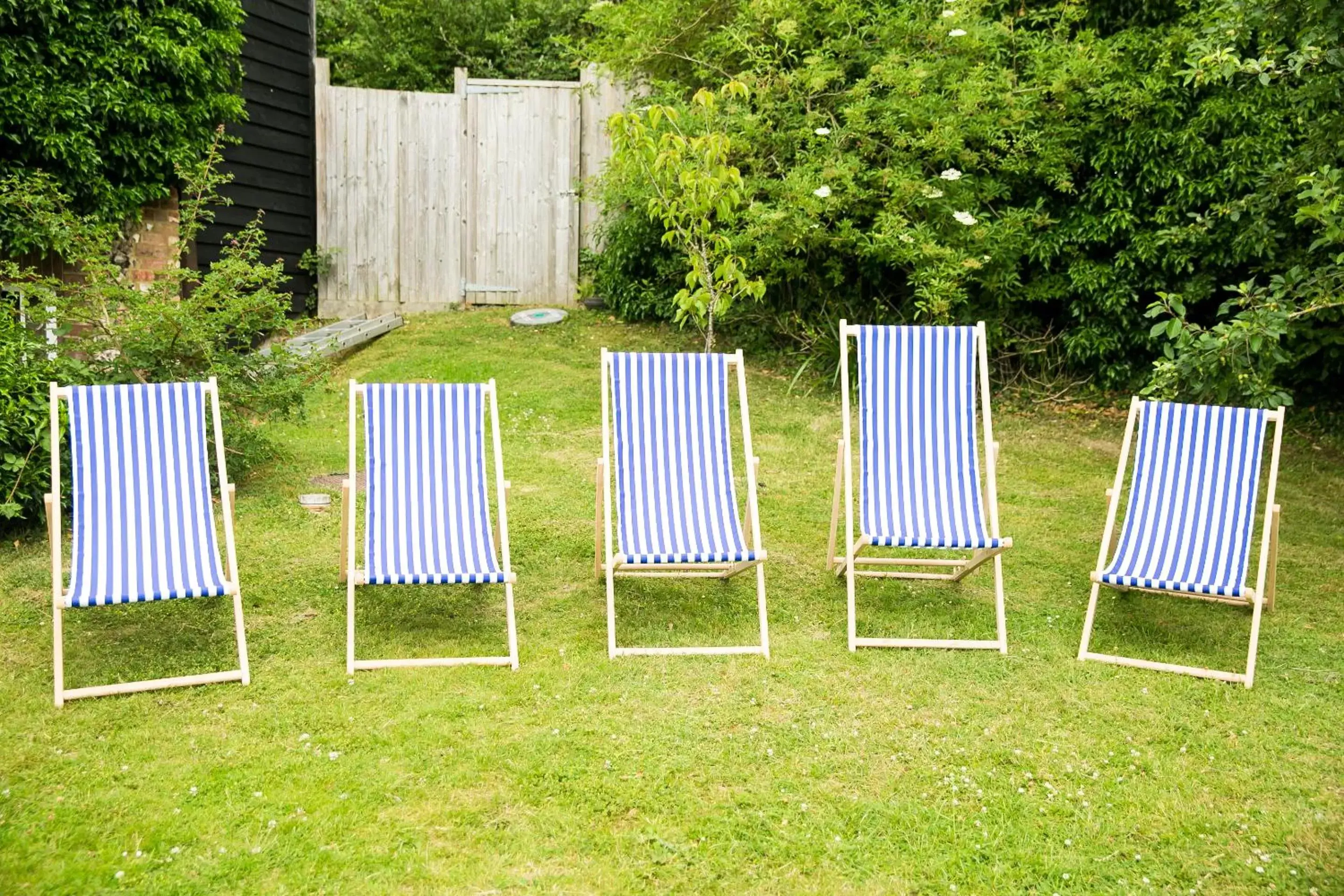 The Ivy House The Ivy House