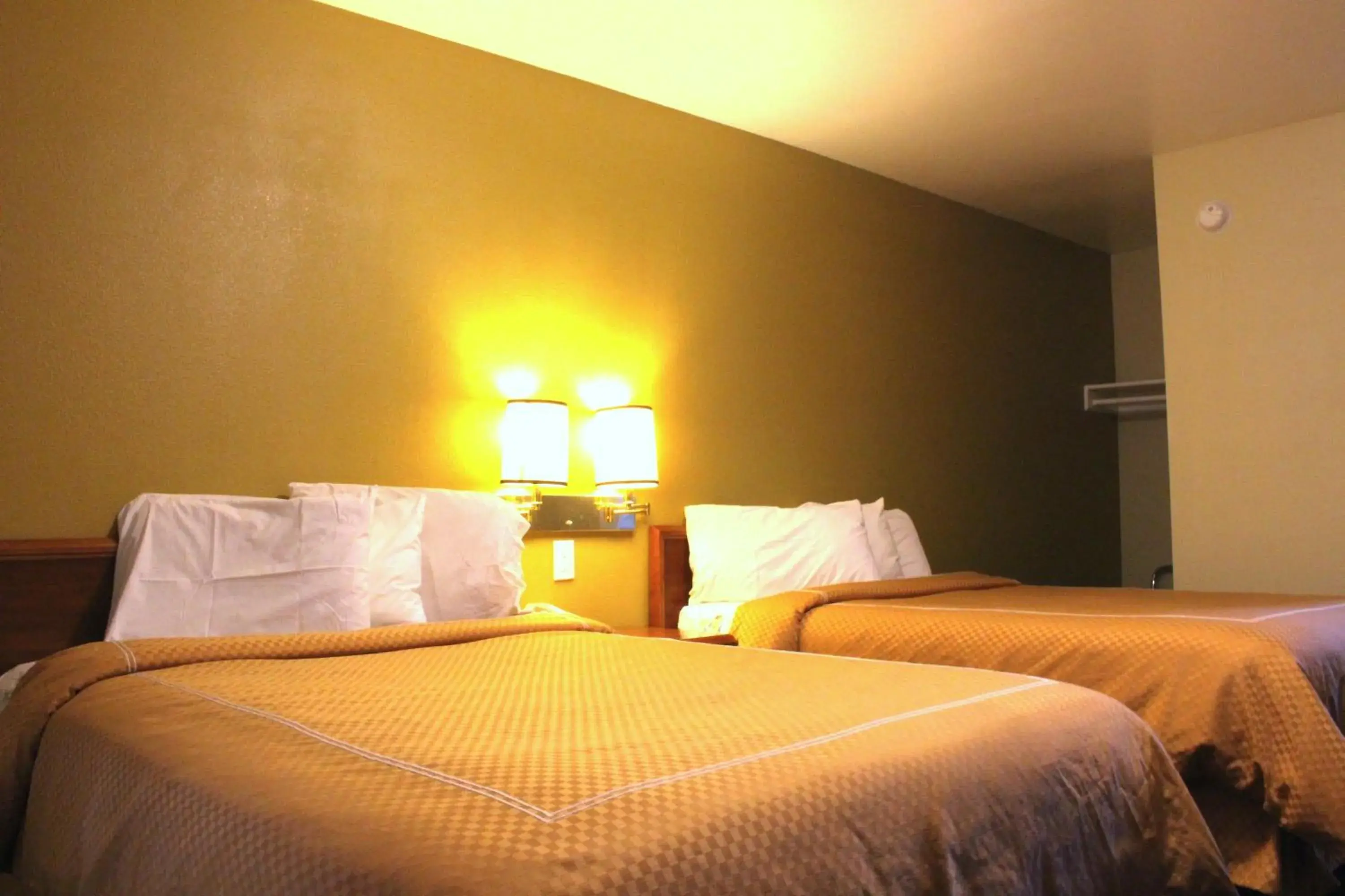 Double Room with Two Double Beds in Echo Lodge Double Room with Two Double Beds in Echo Lodge