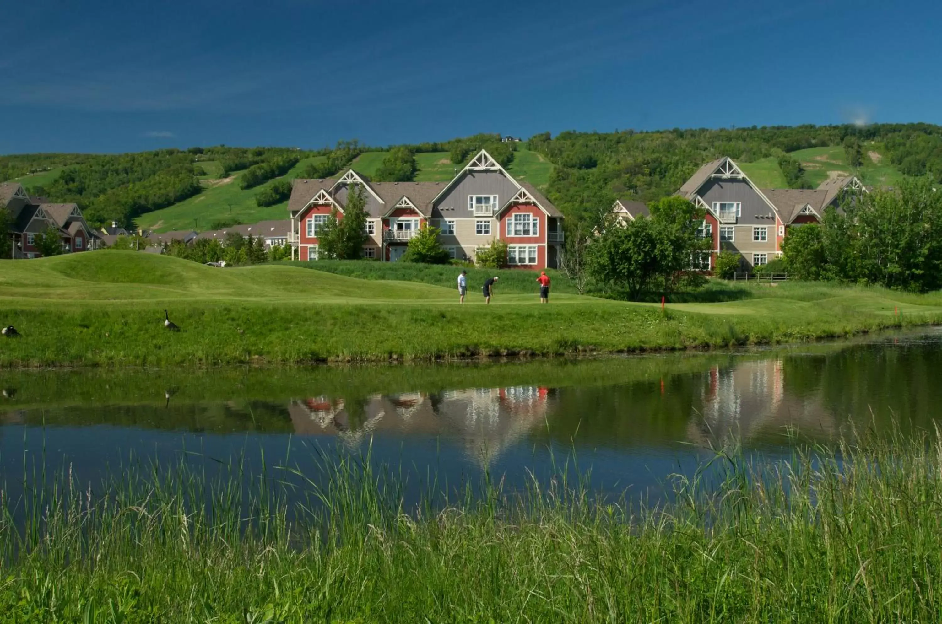 Blue Mountain Resort Home Collection Blue Mountain Resort Home Collection