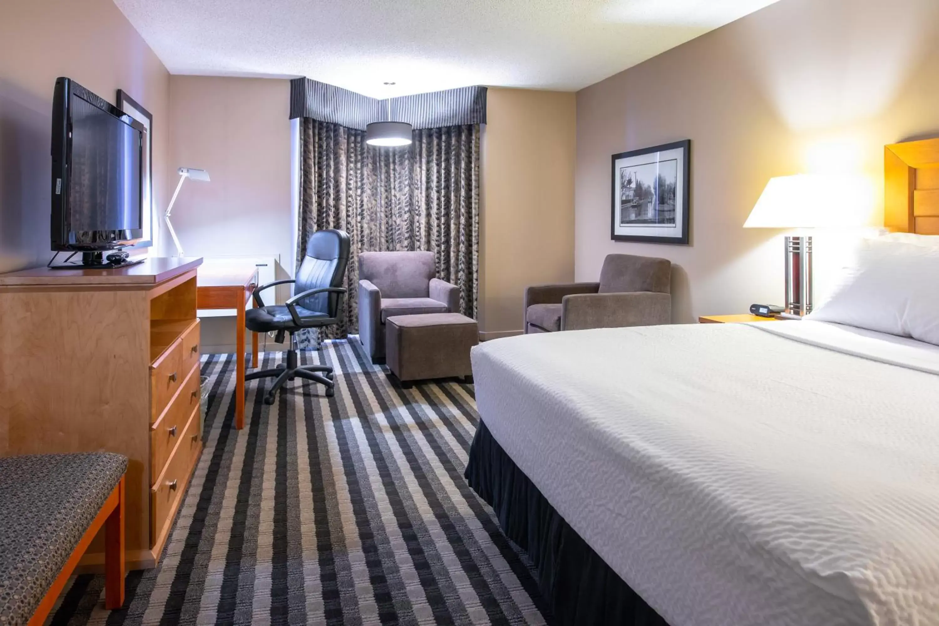 King Room - Pet Friendly/Non-Smoking in Royal Hotel West Edmonton, Trademark Collection by Wyndham King Room - Pet Friendly/Non-Smoking in Royal Hotel West Edmonton, Trademark Collection by Wyndham