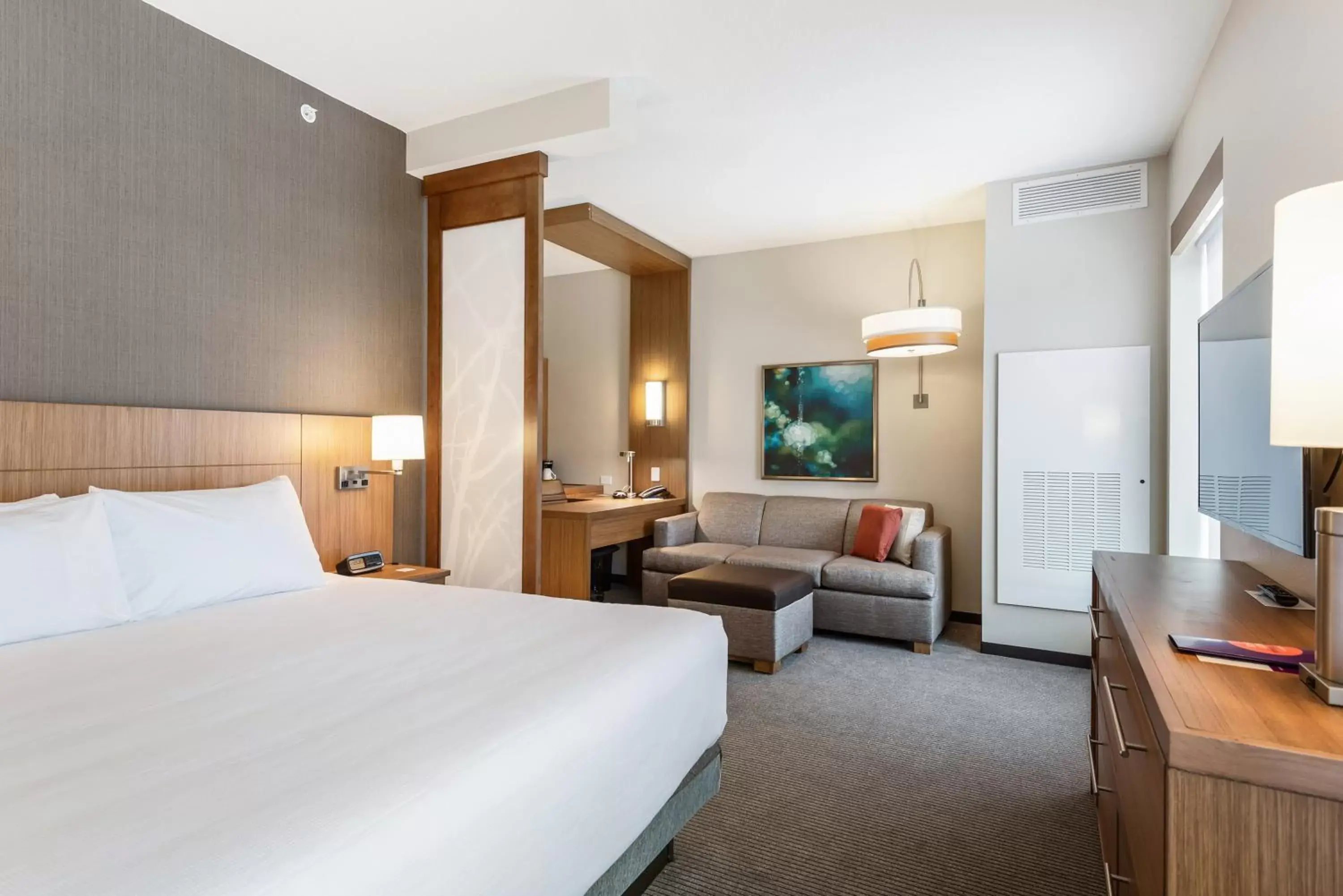 King Room with Roll-In Shower - Disability Access in Hyatt Place Tampa/Wesley Chapel King Room with Roll-In Shower - Disability Access in Hyatt Place Tampa/Wesley Chapel