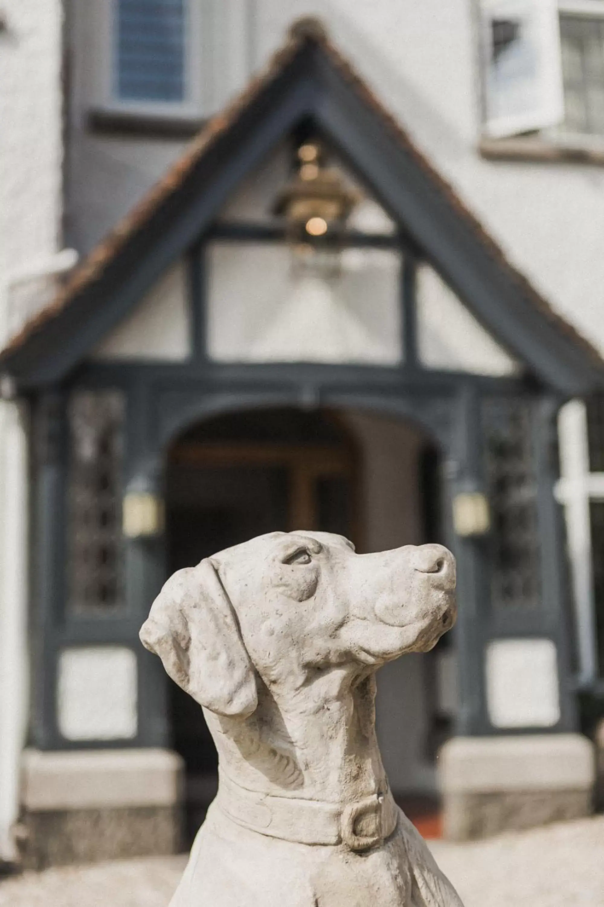 Day, Pets in Merchants Manor Spa Day, Pets in Merchants Manor Spa