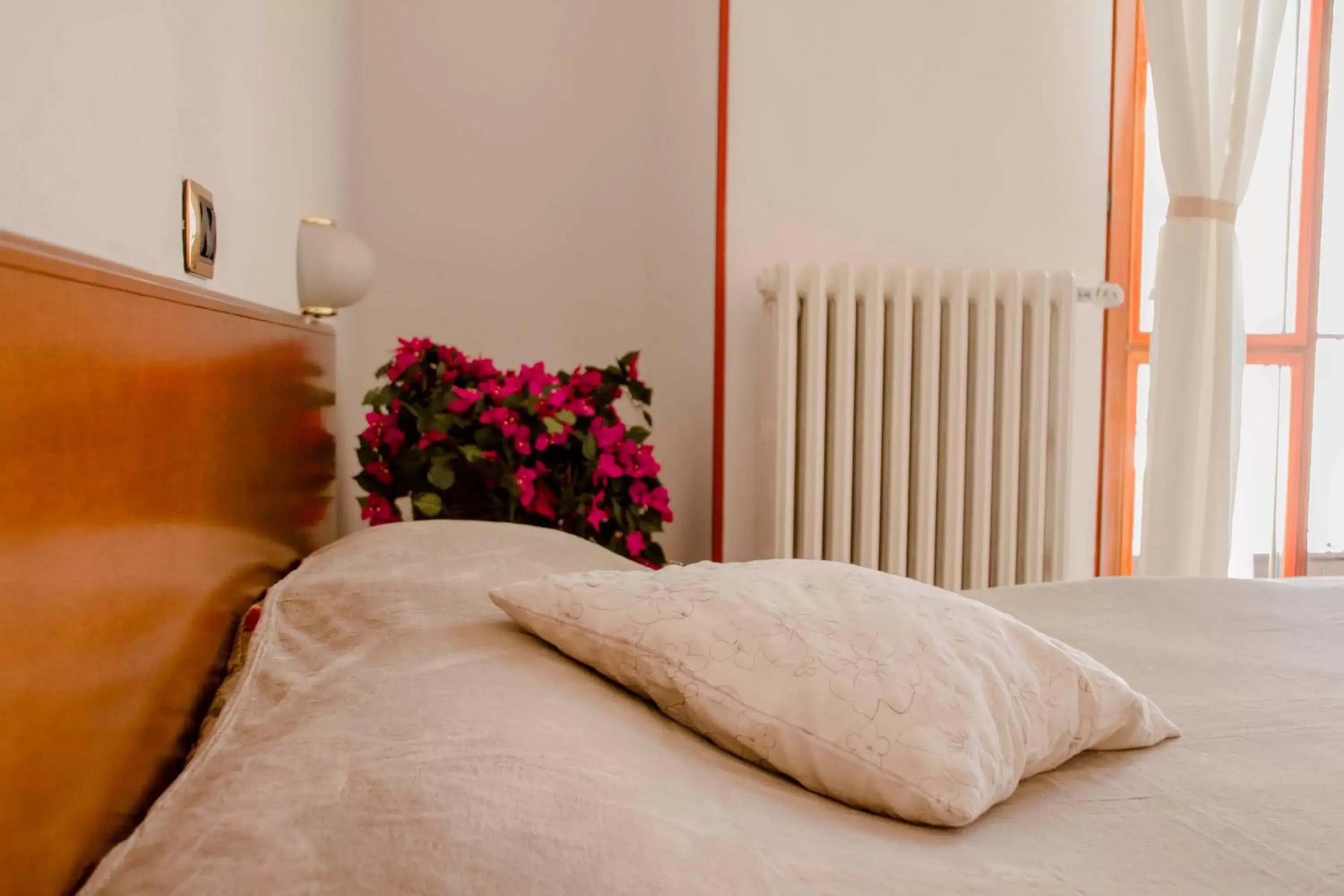 Domus Hotel Domus Hotel