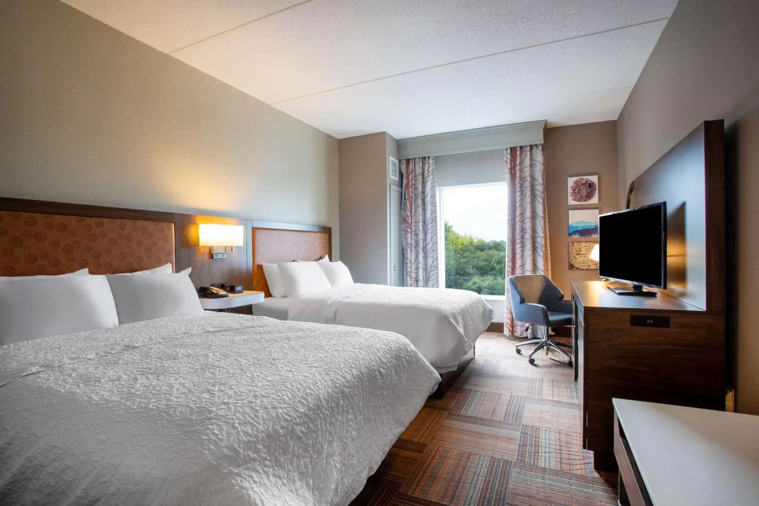 Queen Room with Two Queen Beds - Non-Smoking in Hampton Inn Watertown Queen Room with Two Queen Beds - Non-Smoking in Hampton Inn Watertown
