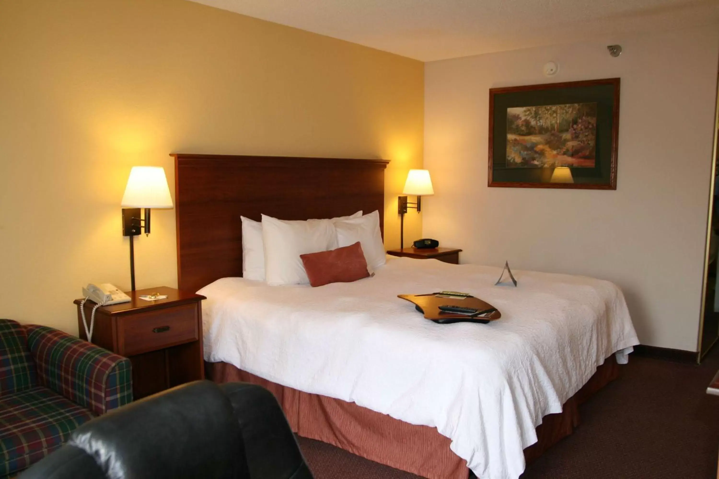 King Study Room - Non-Smoking in Hampton Inn Laurinburg King Study Room - Non-Smoking in Hampton Inn Laurinburg