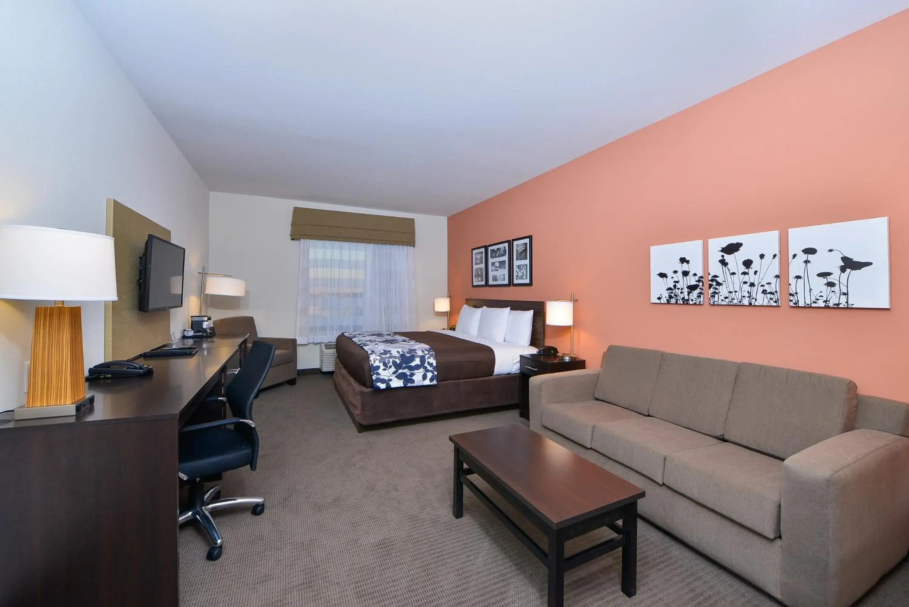 King Room with Roll-In Shower - Accessible/Non-Smoking in Sleep Inn & Suites Austin – Tech Center King Room with Roll-In Shower - Accessible/Non-Smoking in Sleep Inn & Suites Austin – Tech Center