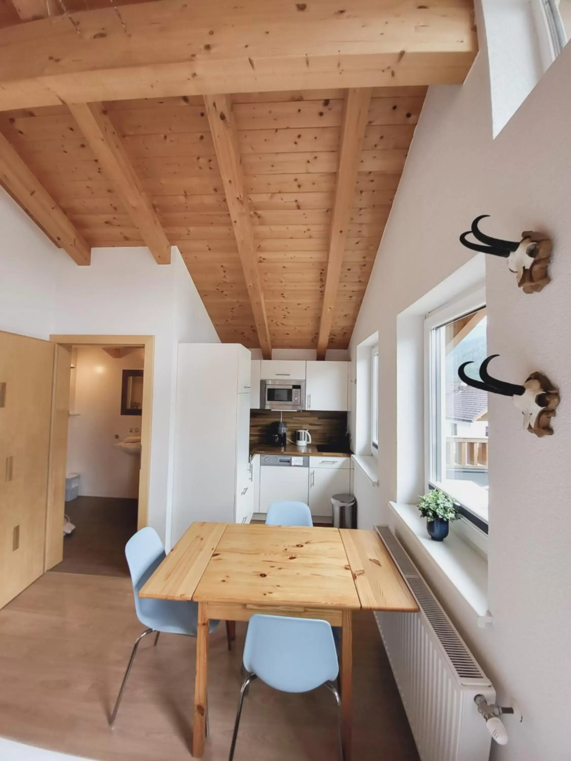 Apartment with Mountain View in Adler Hotel-Pension Apartment with Mountain View in Adler Hotel-Pension