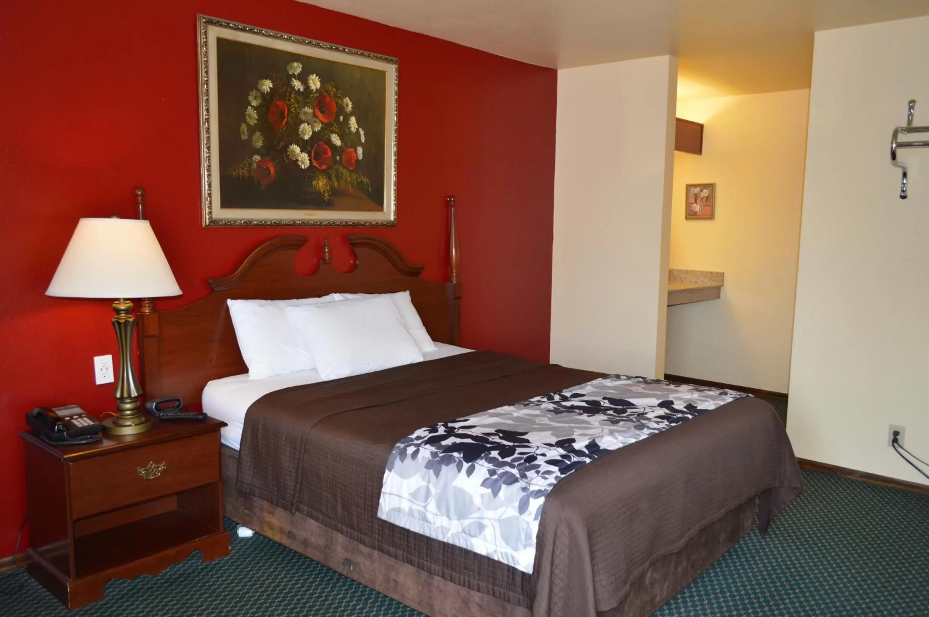 Queen Room in Western Motel Queen Room in Western Motel