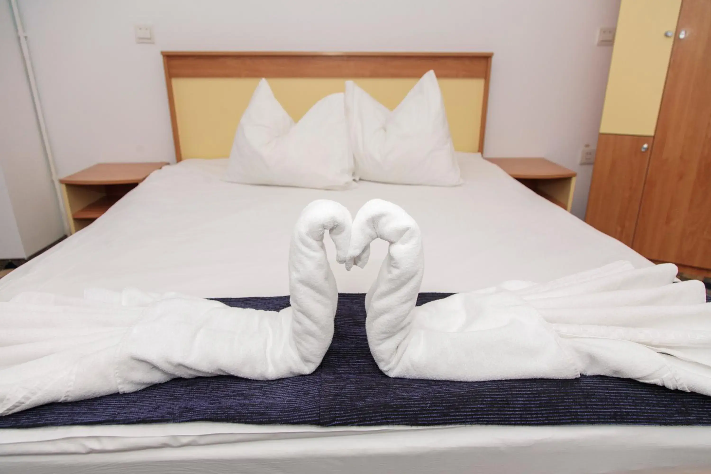 Apartment - single occupancy in Plus Hotel Apartment - single occupancy in Plus Hotel