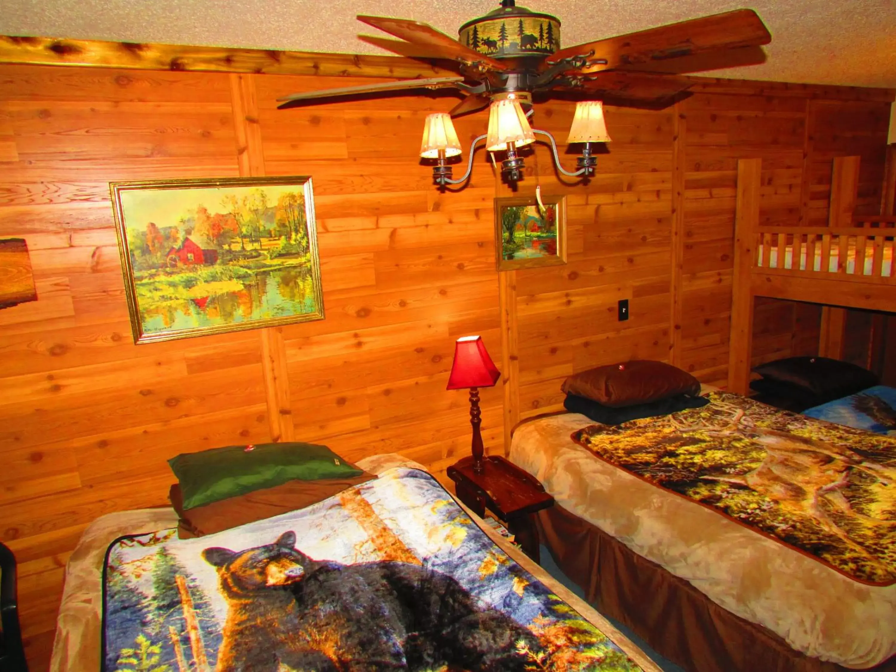 Deluxe Double Studio in Best Bear Lodge Deluxe Double Studio in Best Bear Lodge