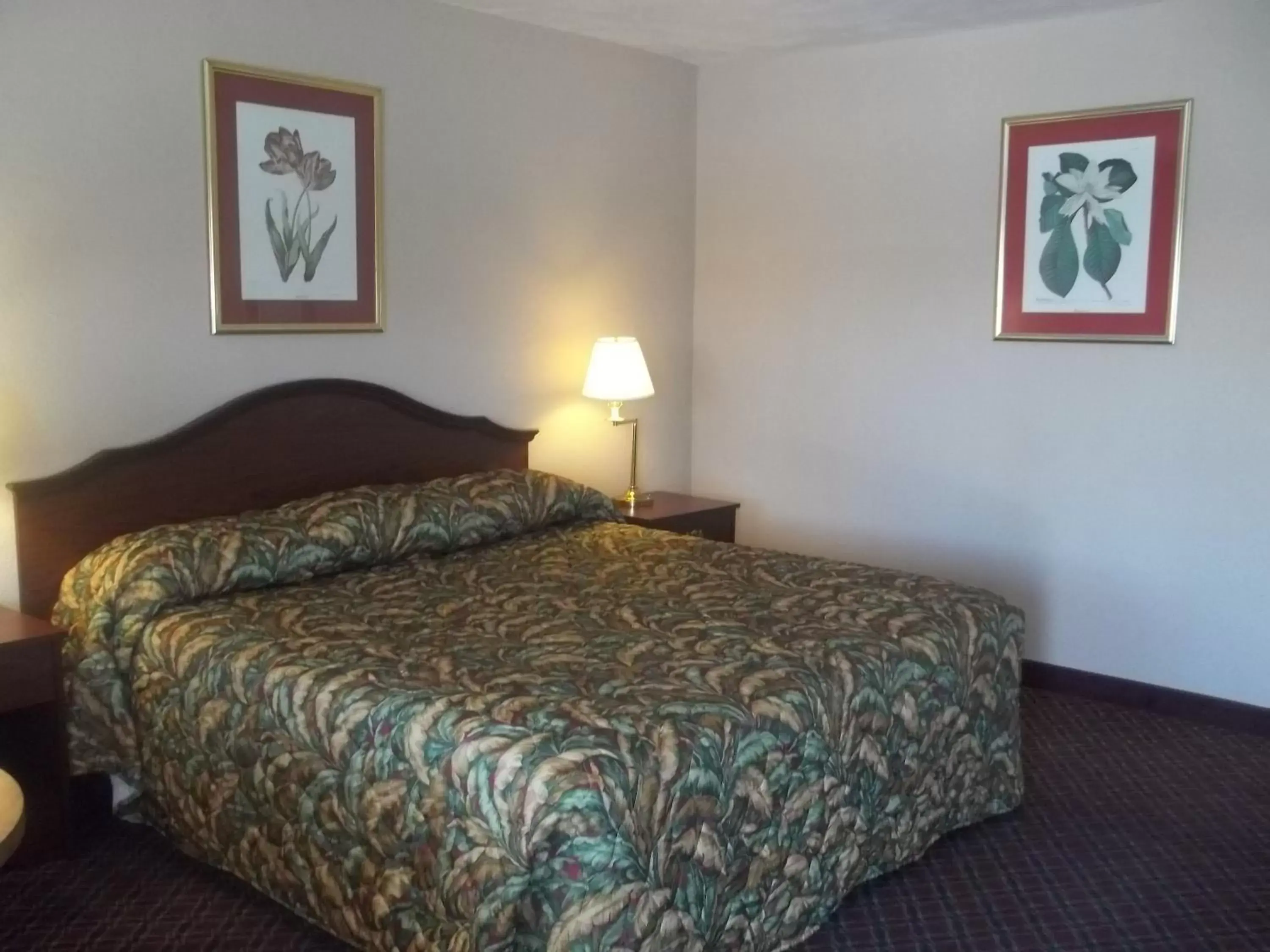 King Room in Hacienda Motel King Room in Hacienda Motel