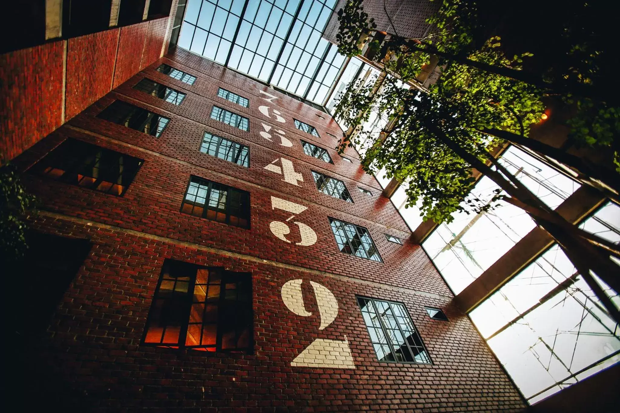 Rosa Malacca Rosa Malacca