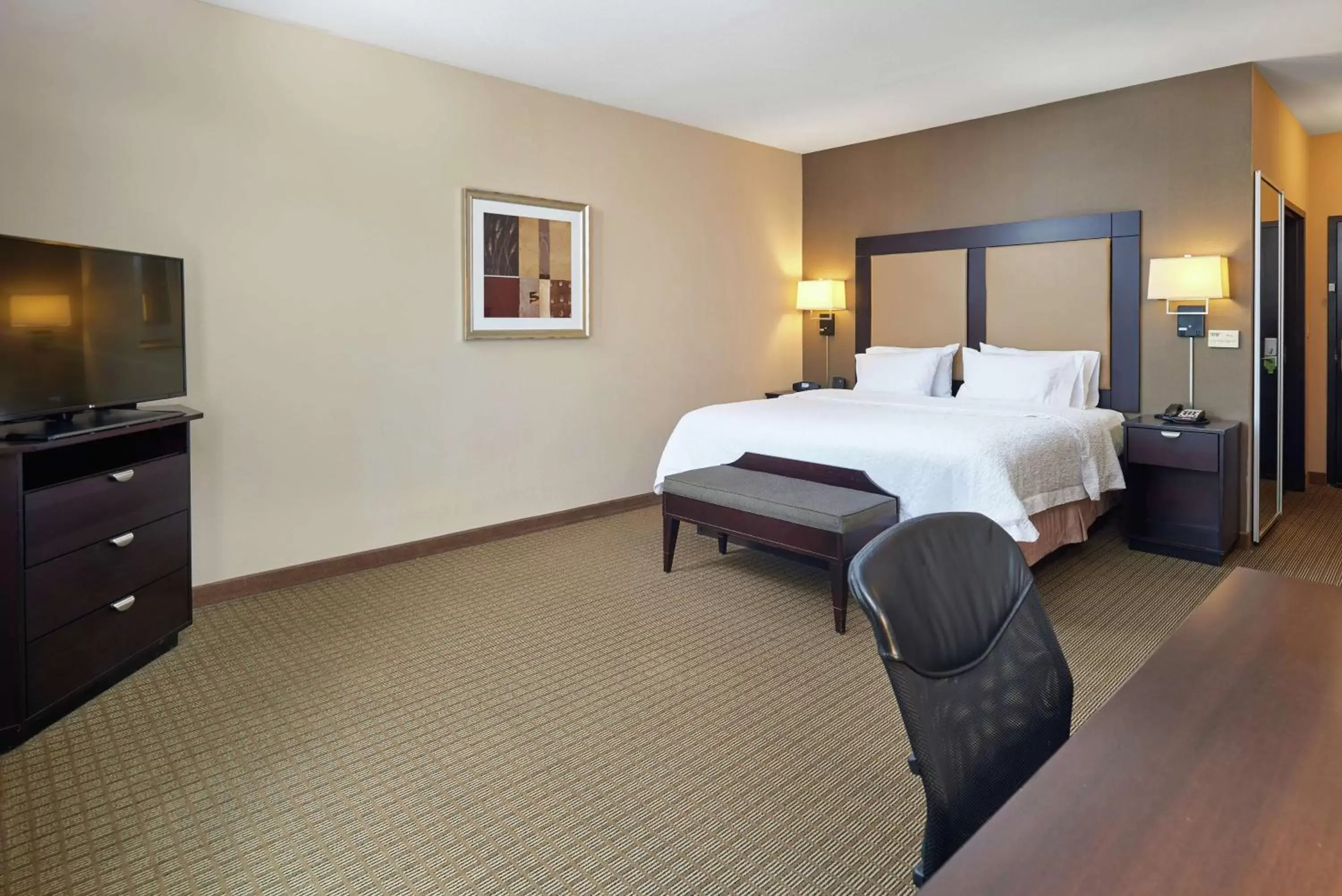 King Room with King Bed - Non-Smoking in Hampton Inn & Suites Decatur King Room with King Bed - Non-Smoking in Hampton Inn & Suites Decatur