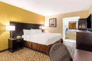 Standard King Room - Smoking in Rodeway Inn Santee I-95 Standard King Room - Smoking in Rodeway Inn Santee I-95