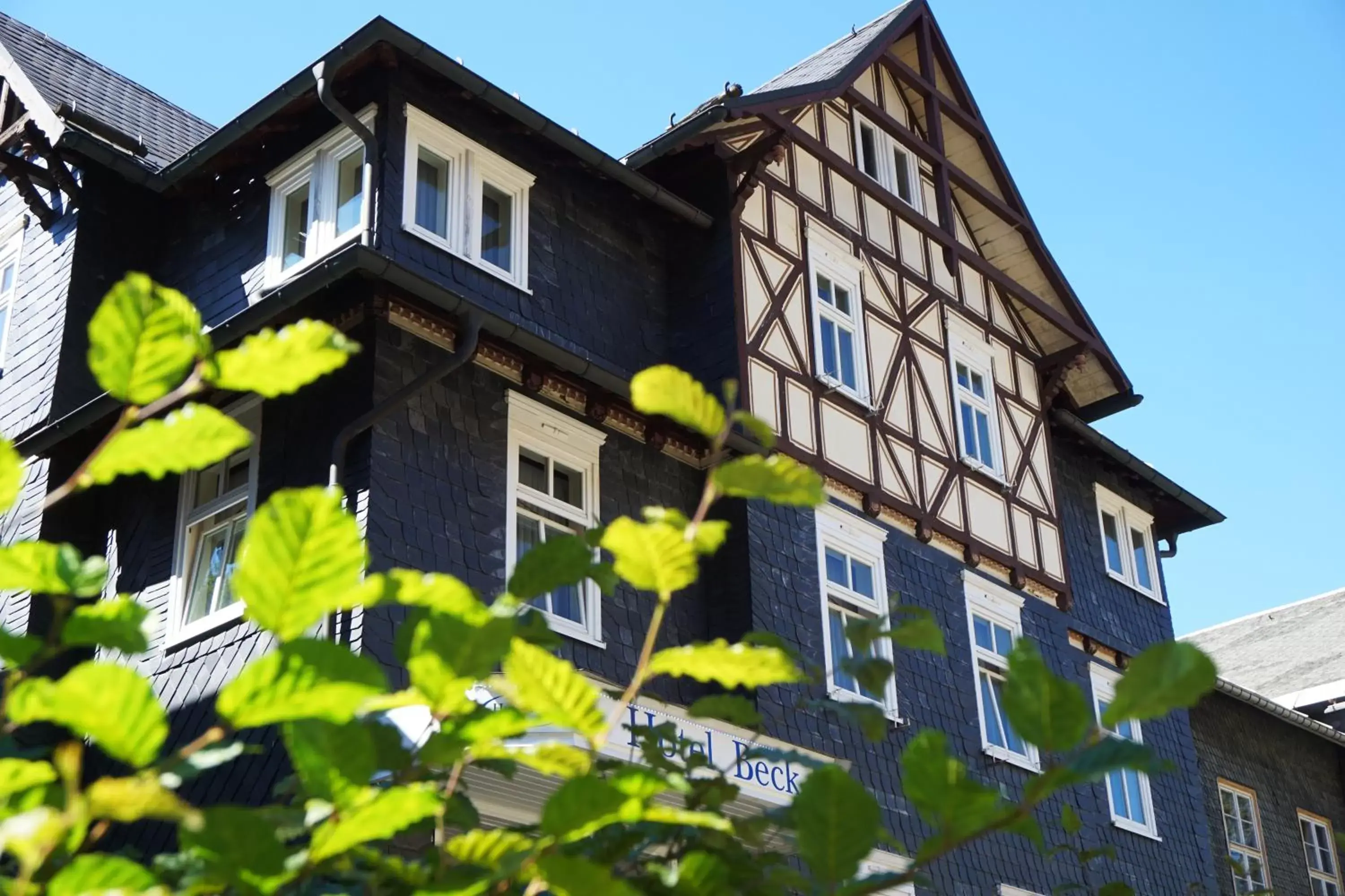 Hotel Beck Hotel Beck