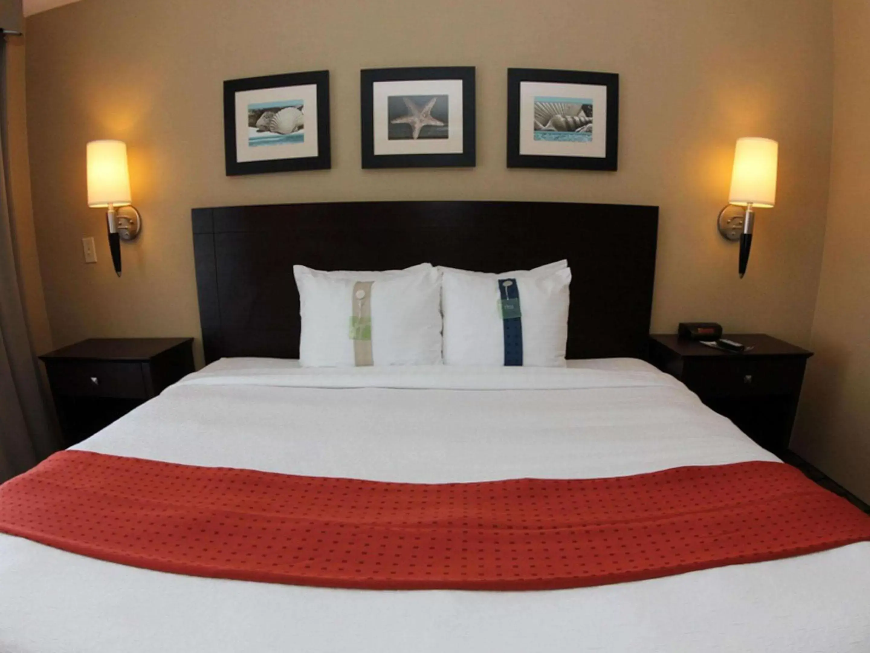 Deluxe King Room - Non-Smoking in The Volare, an Ascend Collection Hotel Deluxe King Room - Non-Smoking in The Volare, an Ascend Collection Hotel