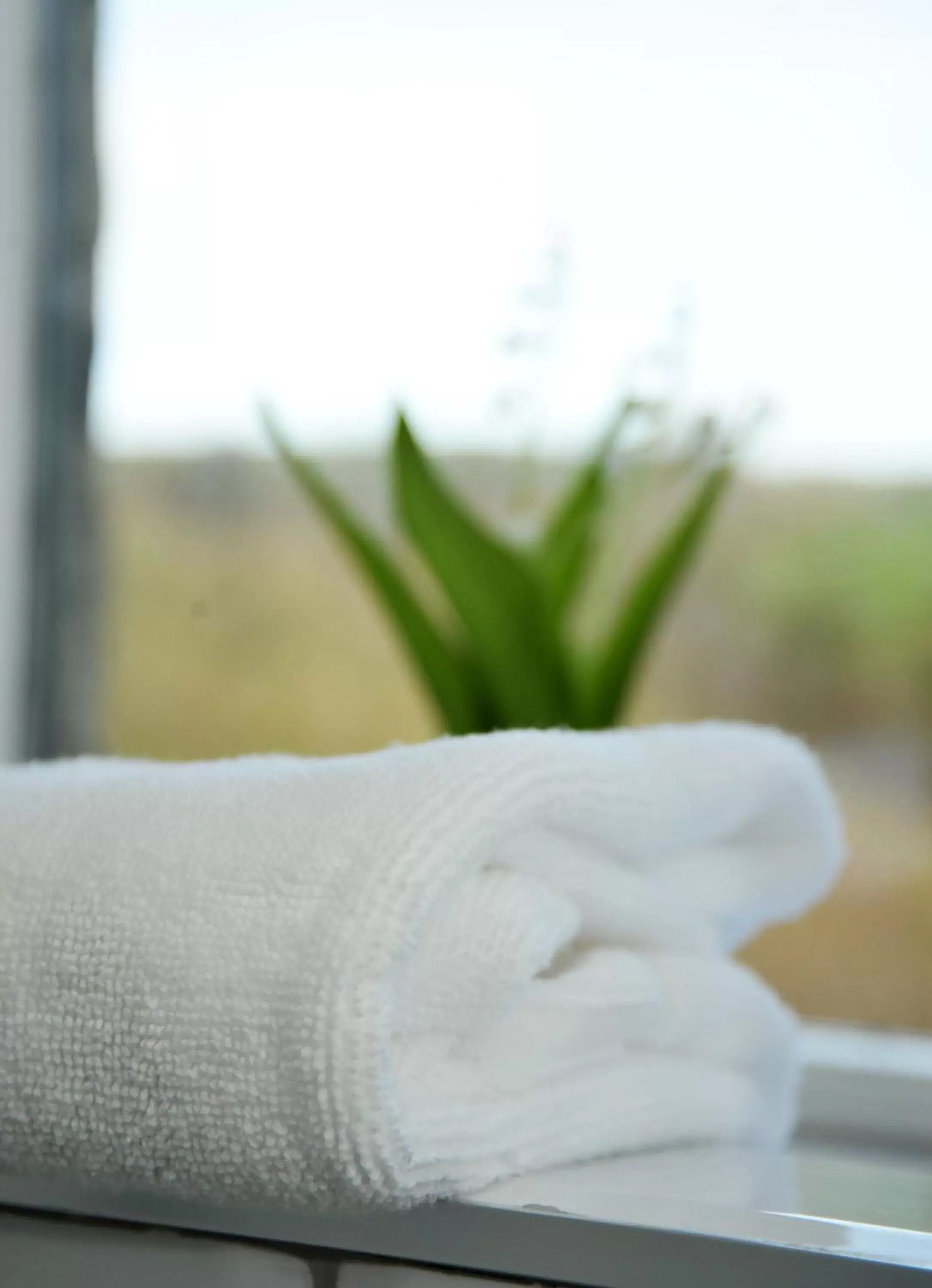 The Alma Inn The Alma Inn