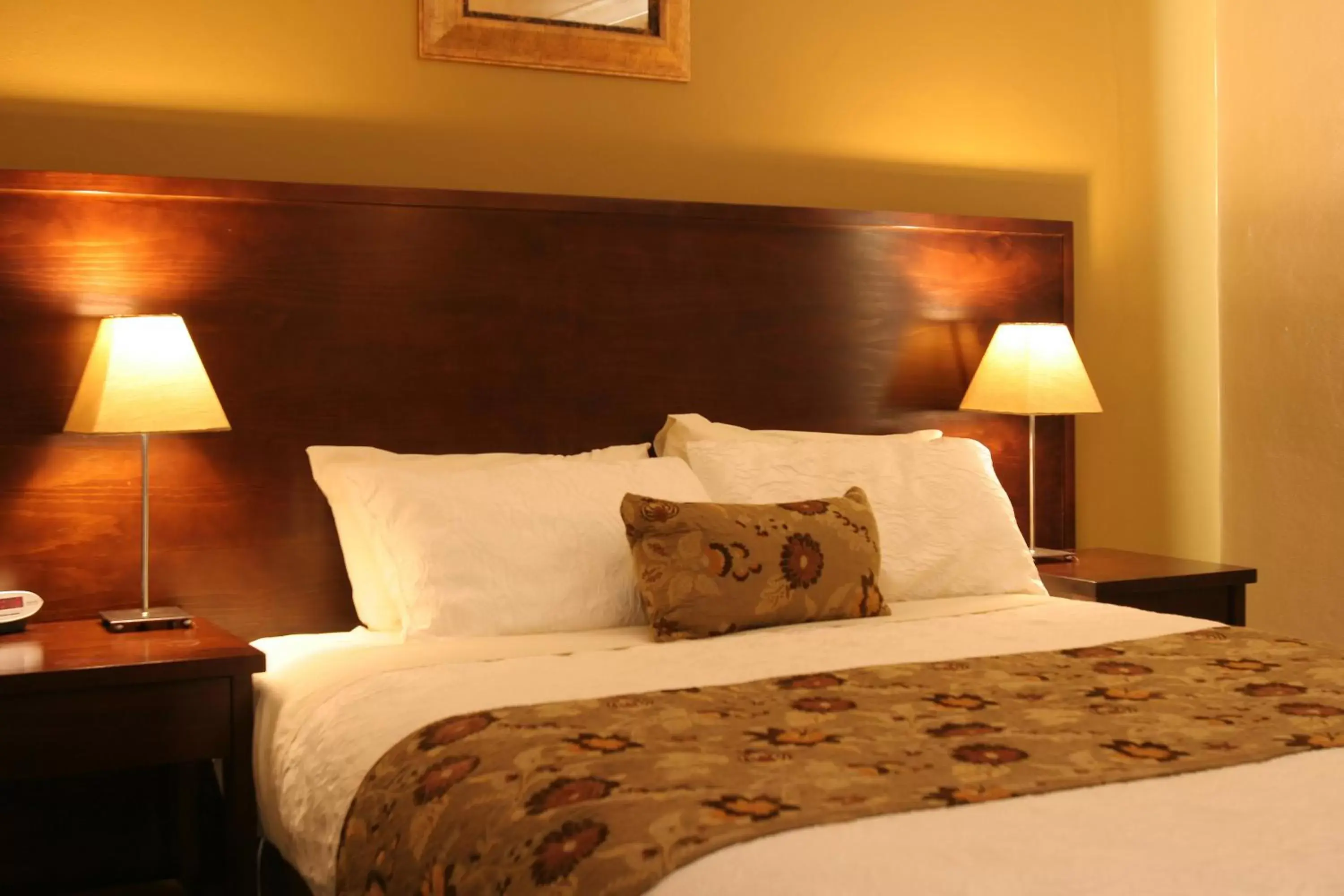 Executive Suite with Spa Bath in The Whale Inn Executive Suite with Spa Bath in The Whale Inn