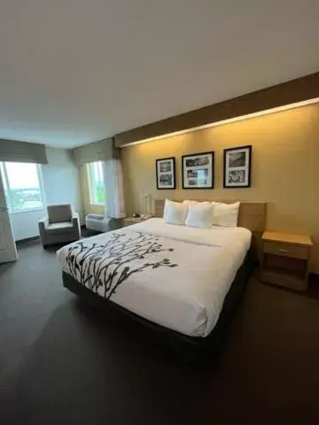 King Room - Accessible/Non-Smoking in Sleep Inn Lynchburg - University Area & Hwy 460 King Room - Accessible/Non-Smoking in Sleep Inn Lynchburg - University Area & Hwy 460