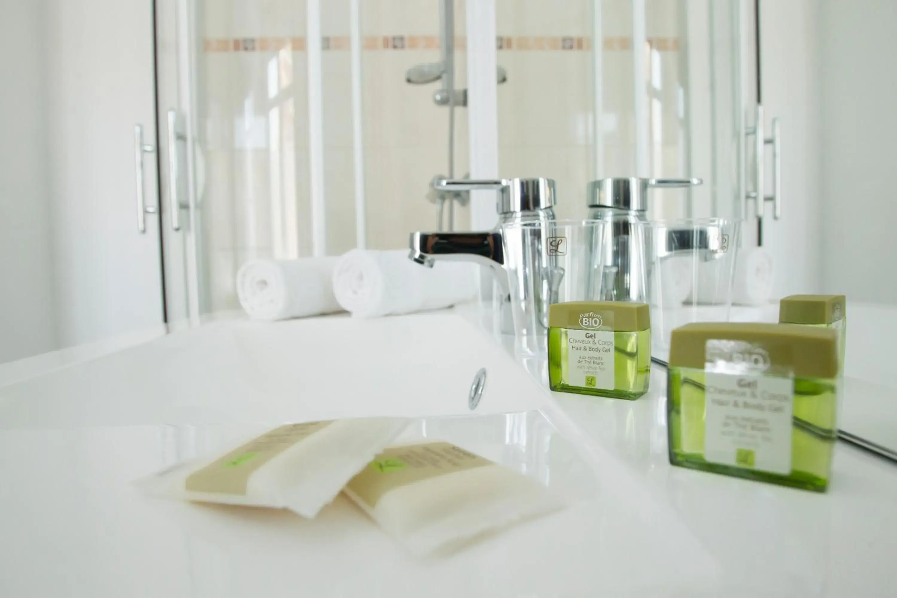 Double Room in Logis Hotel De La Basilique Double Room in Logis Hotel De La Basilique