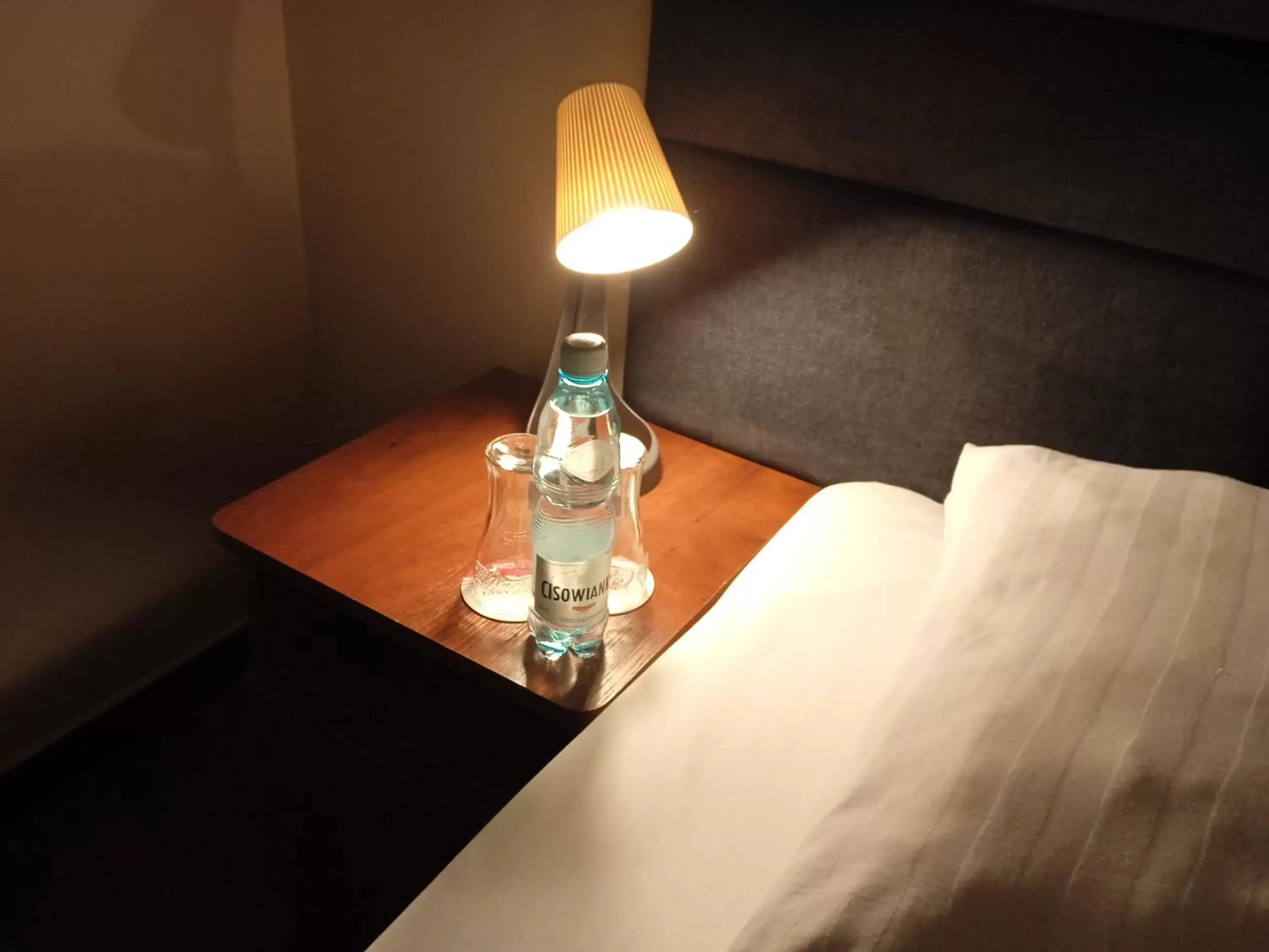 Standard Double Room in Centrum Konferencyjne Sułtan Standard Double Room in Centrum Konferencyjne Sułtan