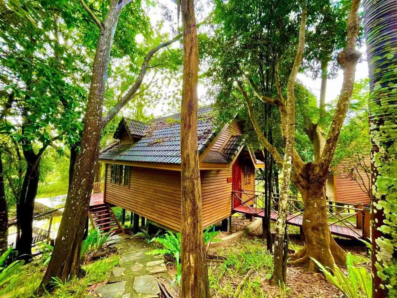 Double Room in Kirirom Hillside Resort Double Room in Kirirom Hillside Resort