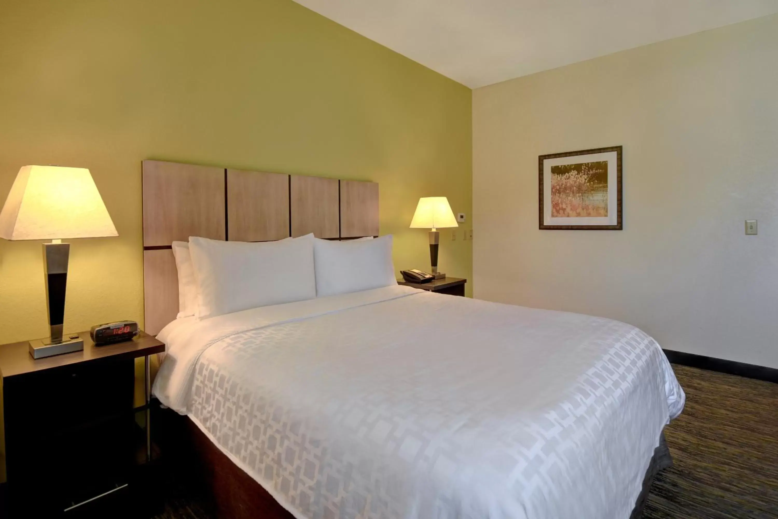 One-Bedroom King Room with Roll-in Shower - Hearing Accessible - Non-Smoking in Candlewood Suites Carrollton, an IHG Hotel One-Bedroom King Room with Roll-in Shower - Hearing Accessible - Non-Smoking in Candlewood Suites Carrollton, an IHG Hotel