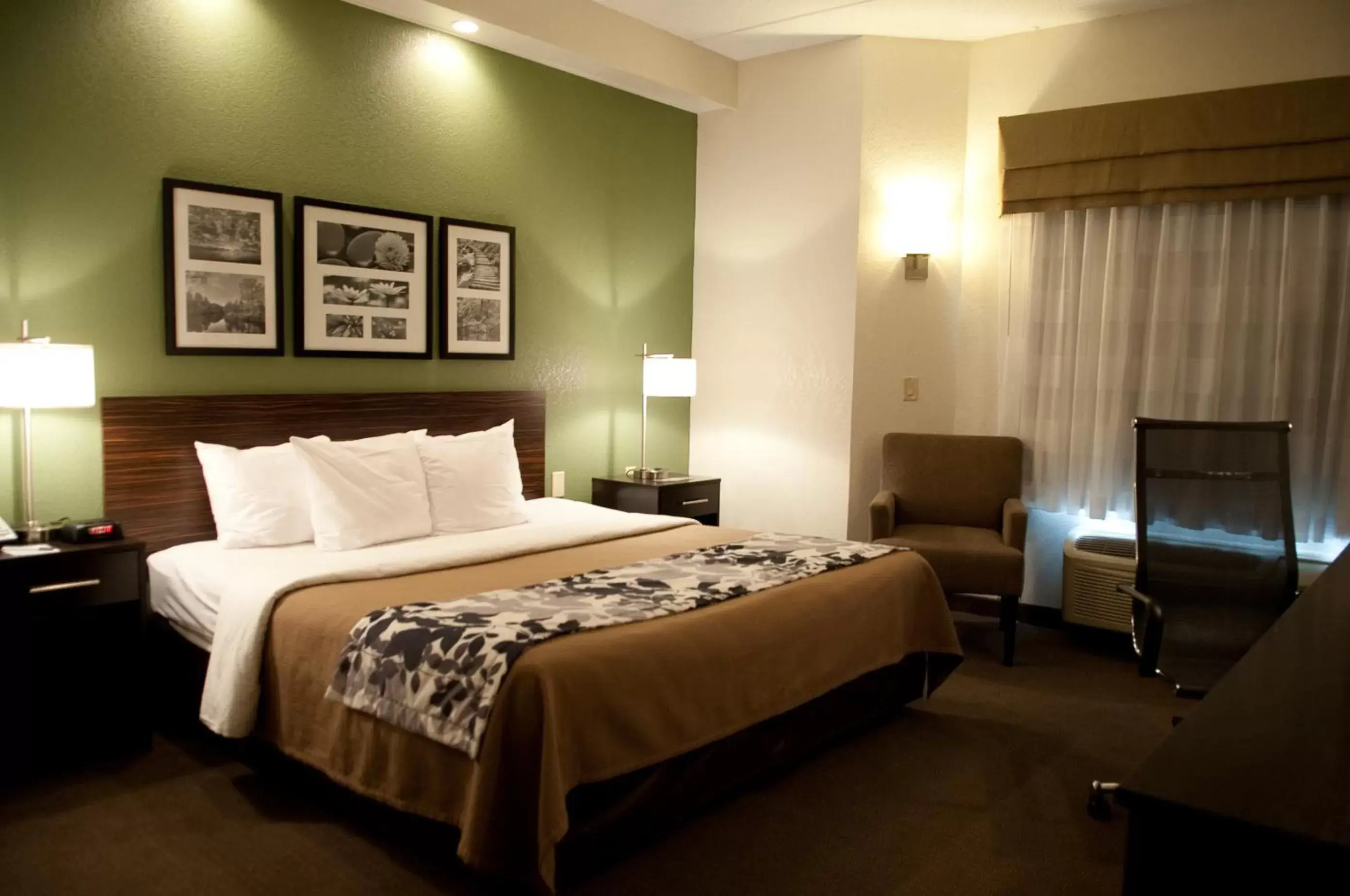 Queen Room - Non-Smoking - Accessible - Tub Only in Sleep Inn & Suites Buffalo Airport Cheektowaga Queen Room - Non-Smoking - Accessible - Tub Only in Sleep Inn & Suites Buffalo Airport Cheektowaga