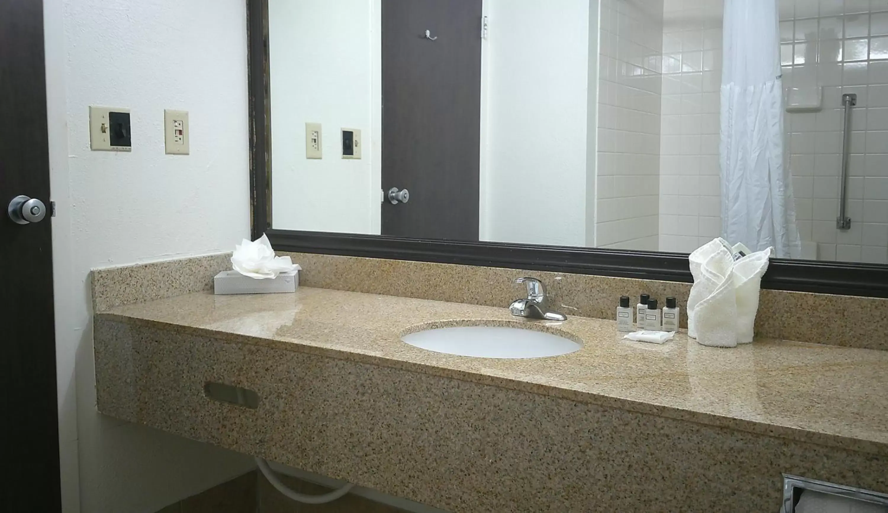 Standard King Room in Wyndham Garden Detroit Metro Airport Standard King Room in Wyndham Garden Detroit Metro Airport