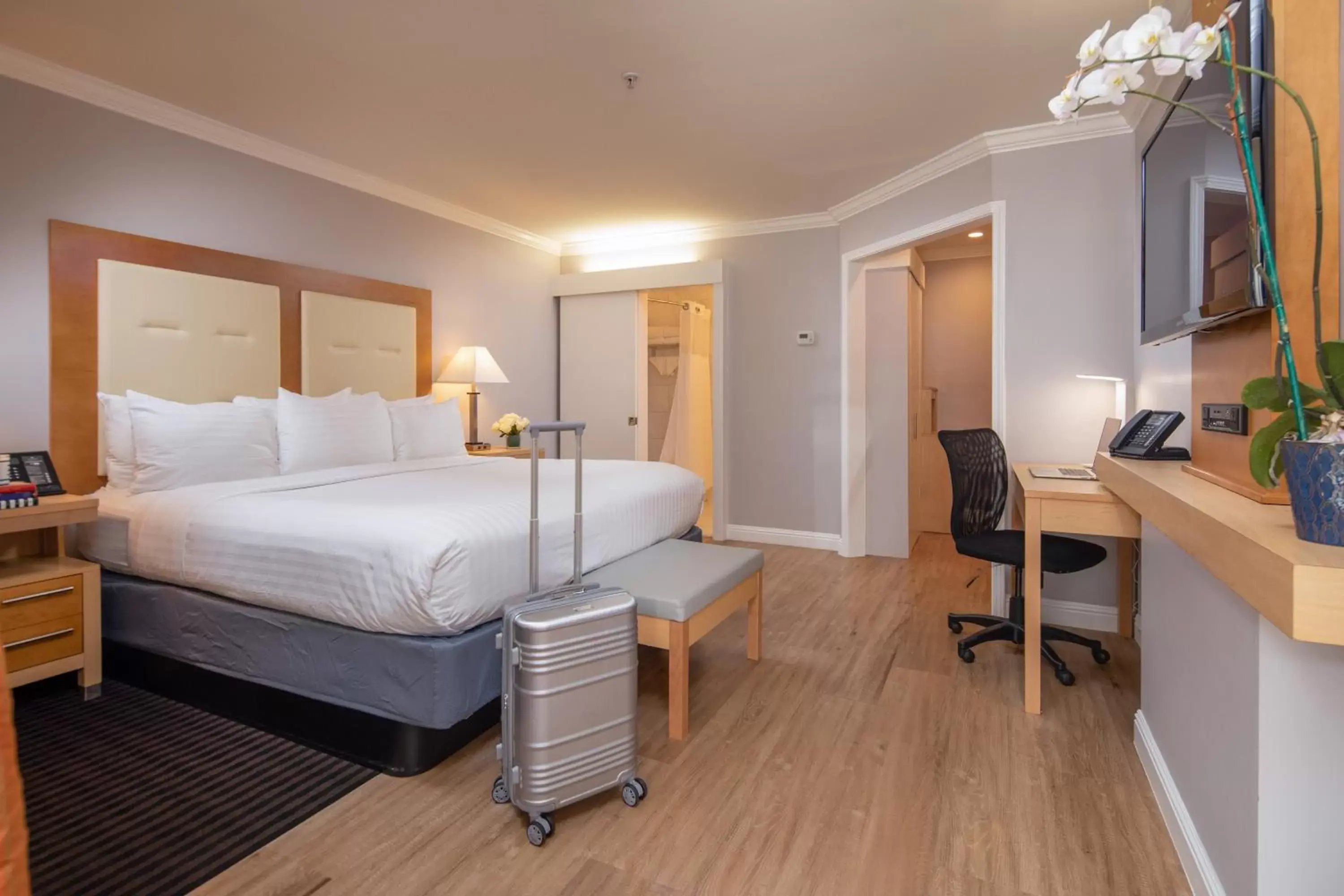 The Millwood The Millwood