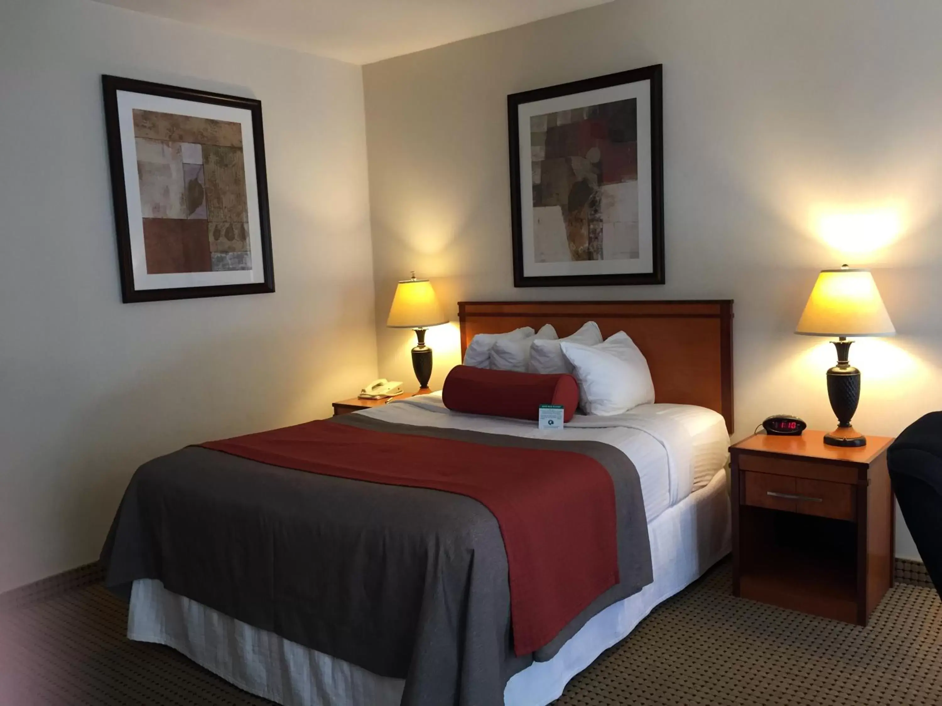 Queen Room - Disability Access in Mikado Hotel Queen Room - Disability Access in Mikado Hotel