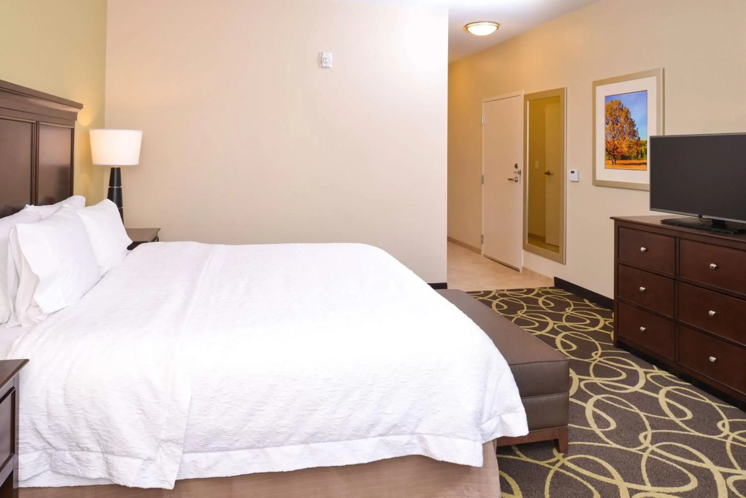King Room - Hearing Accessible in Hampton Inn Omaha Midtown-Aksarben King Room - Hearing Accessible in Hampton Inn Omaha Midtown-Aksarben