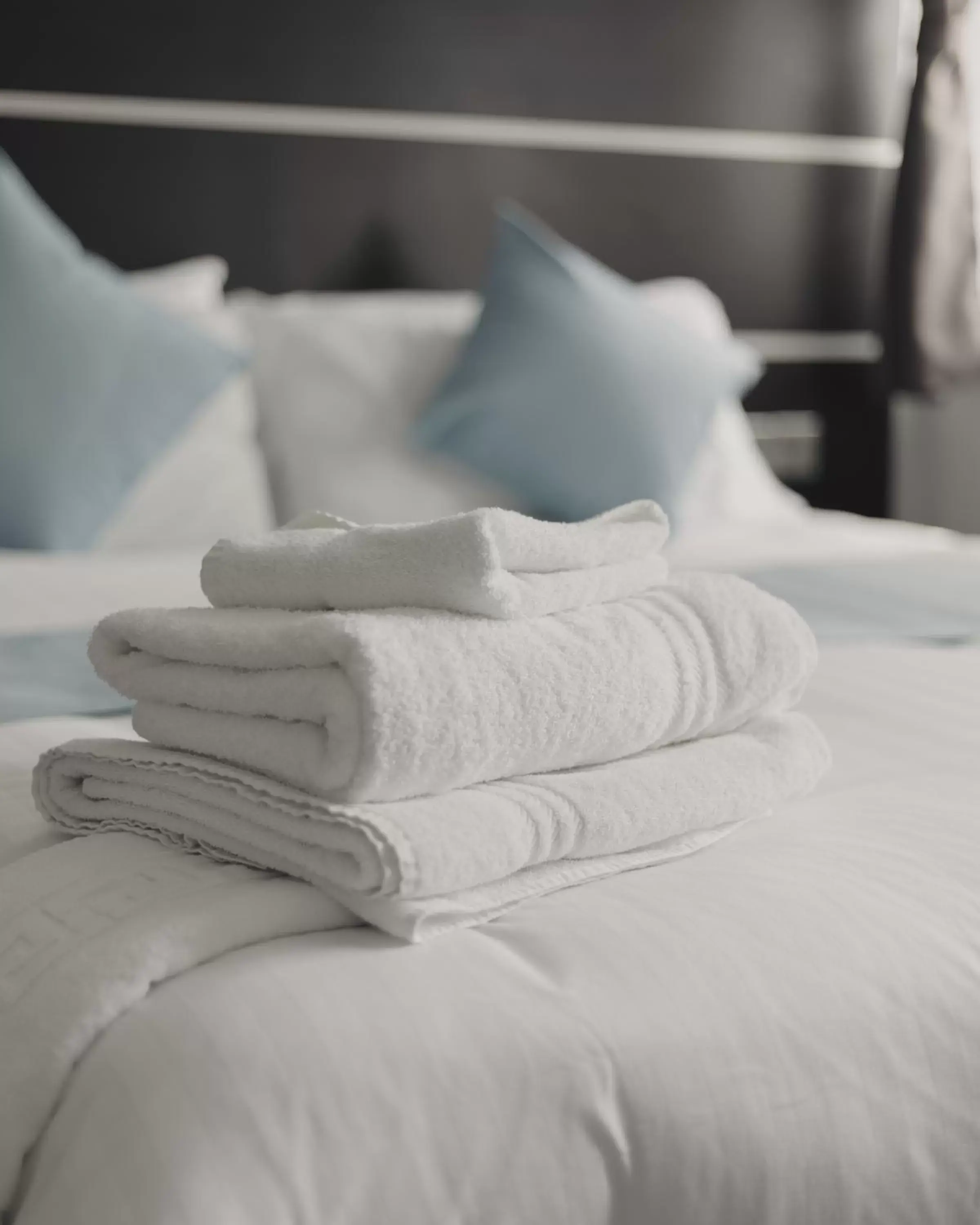 Deluxe Double Room with Shower in Level Inn Deluxe Double Room with Shower in Level Inn