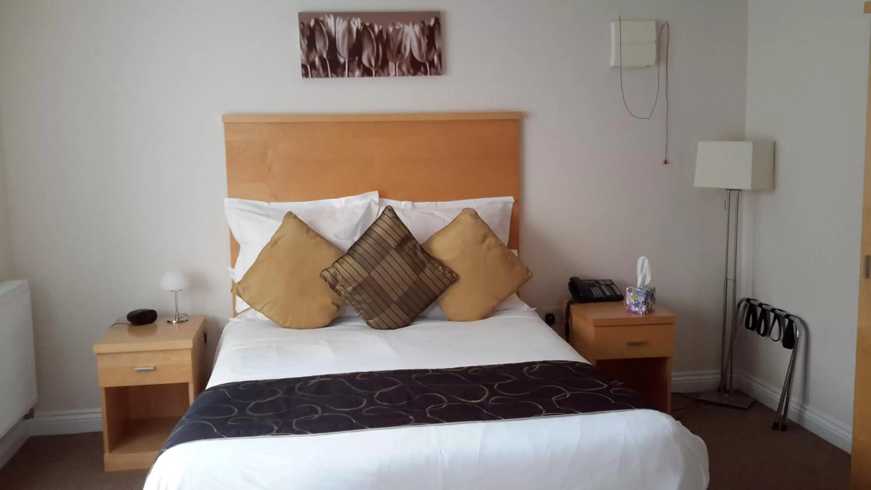 King Room - Disability Access in Springfields King Room - Disability Access in Springfields