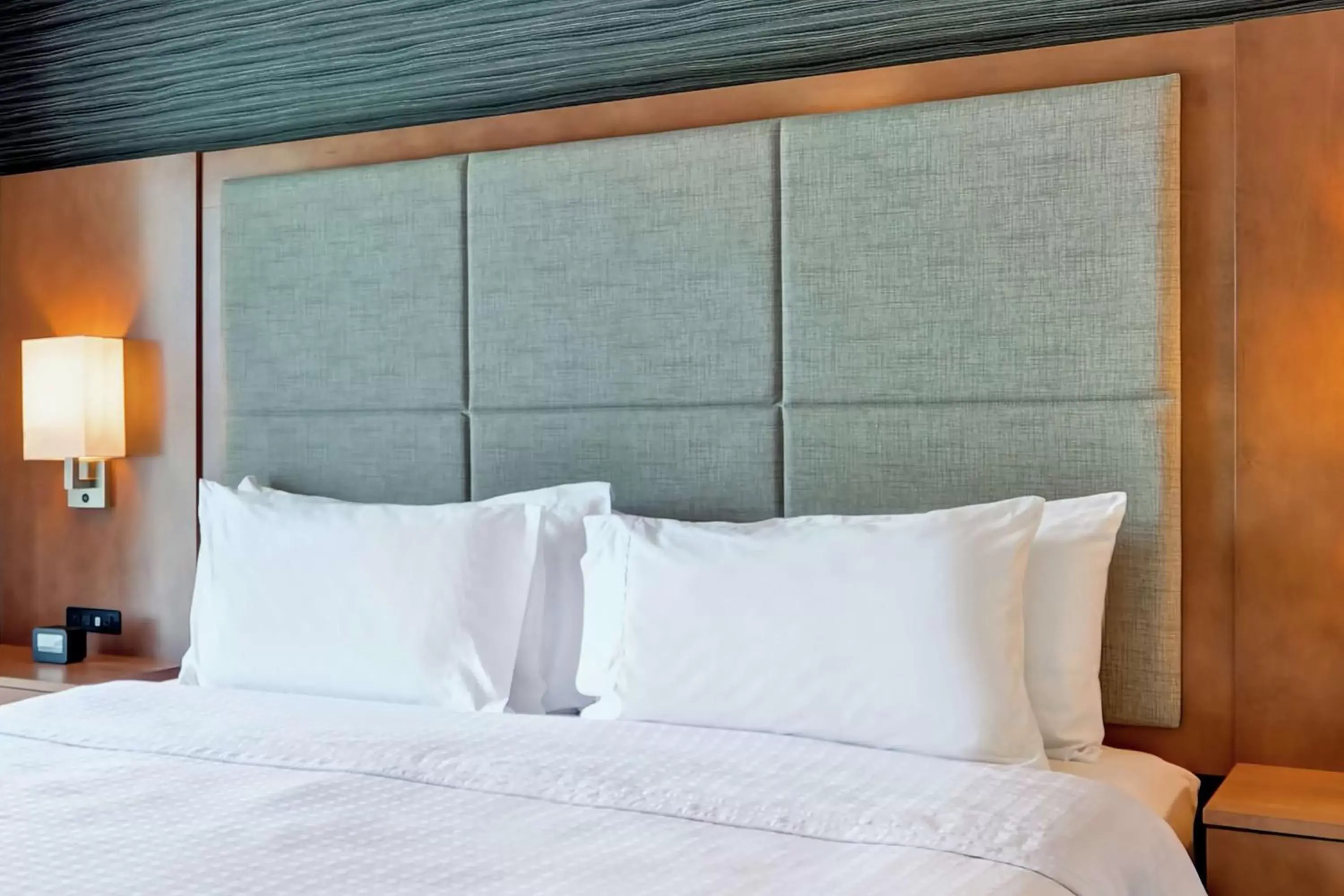 King Studio Suite - Non-Smoking in Homewood Suites TechRidge Parmer @ I-35 King Studio Suite - Non-Smoking in Homewood Suites TechRidge Parmer @ I-35