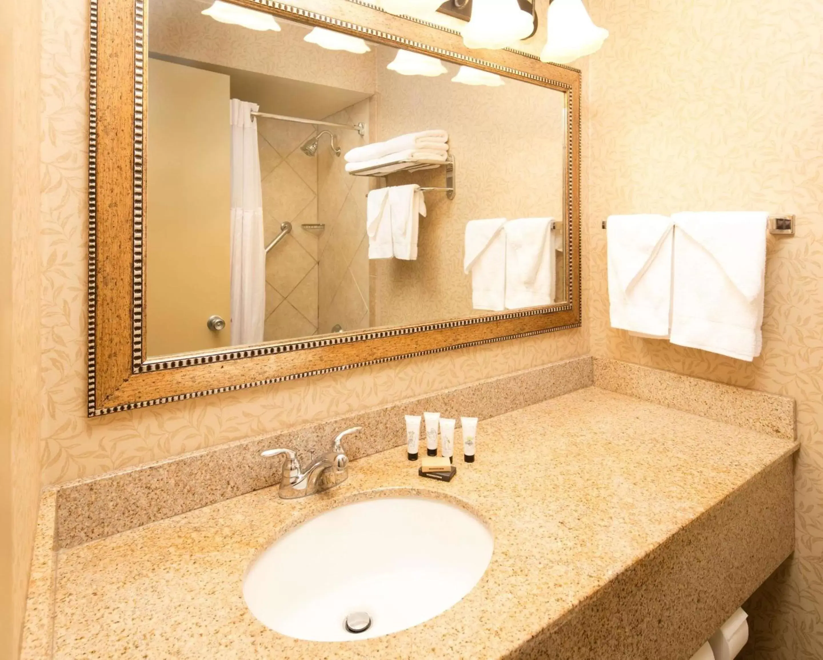 Queen Room - Disability Access/Roll-in Shower in Red Lion Hotel Kennewick Columbia Center Queen Room - Disability Access/Roll-in Shower in Red Lion Hotel Kennewick Columbia Center