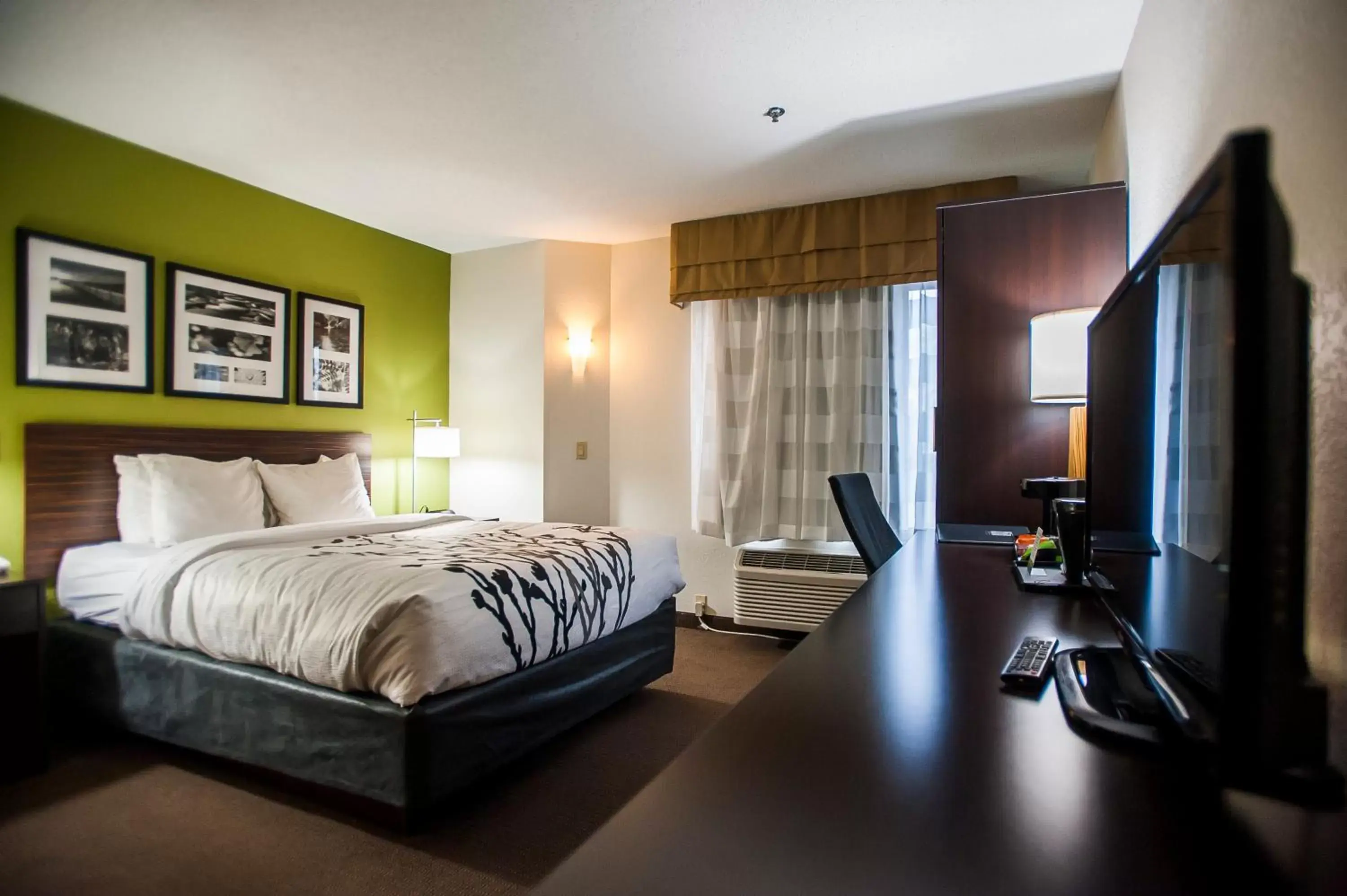 Queen Room - Disability Access/Non-Smoking in Sleep Inn Queen Room - Disability Access/Non-Smoking in Sleep Inn