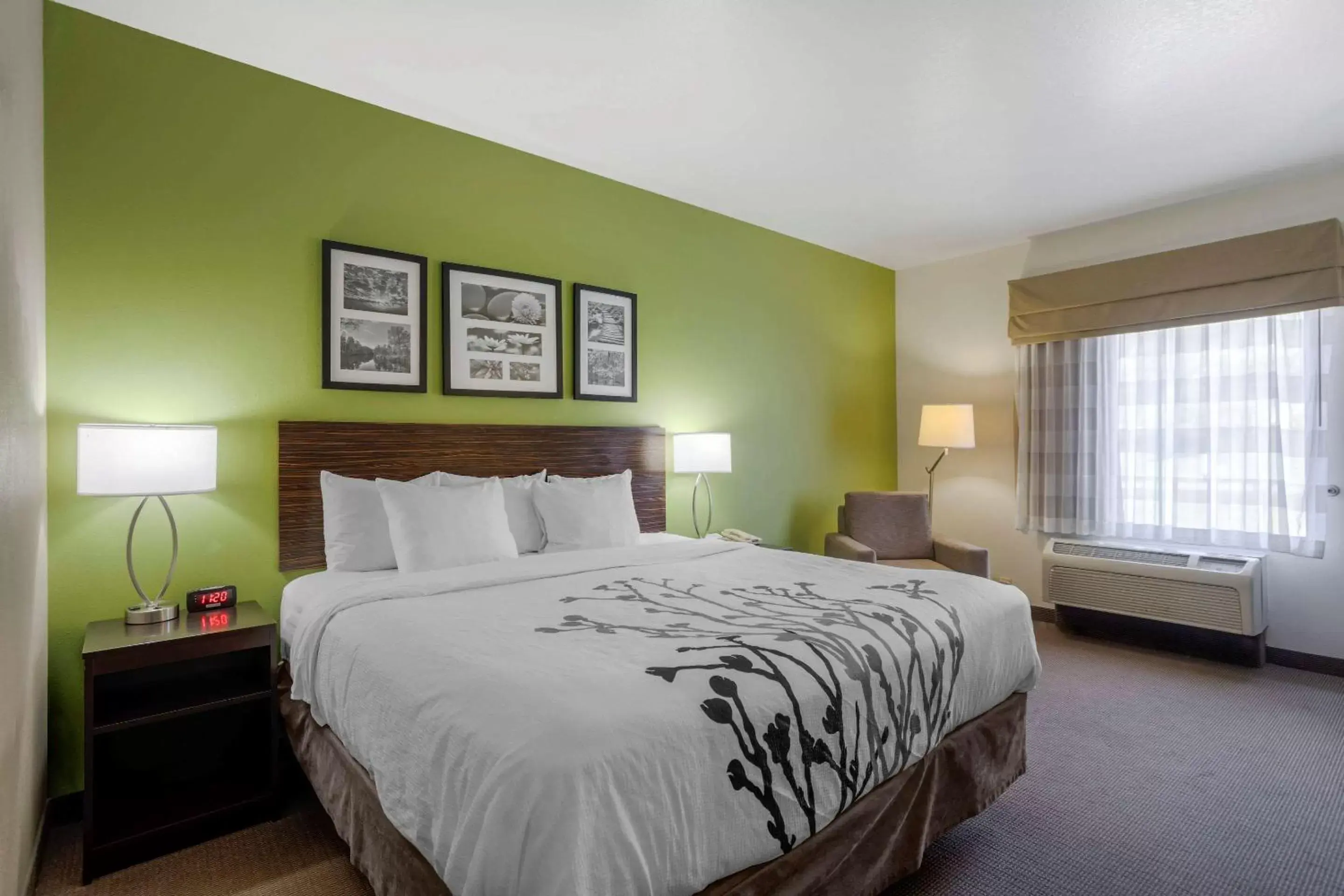 Standard King Room - Non-Smoking in Sleep Inn & Suites Cave City Standard King Room - Non-Smoking in Sleep Inn & Suites Cave City