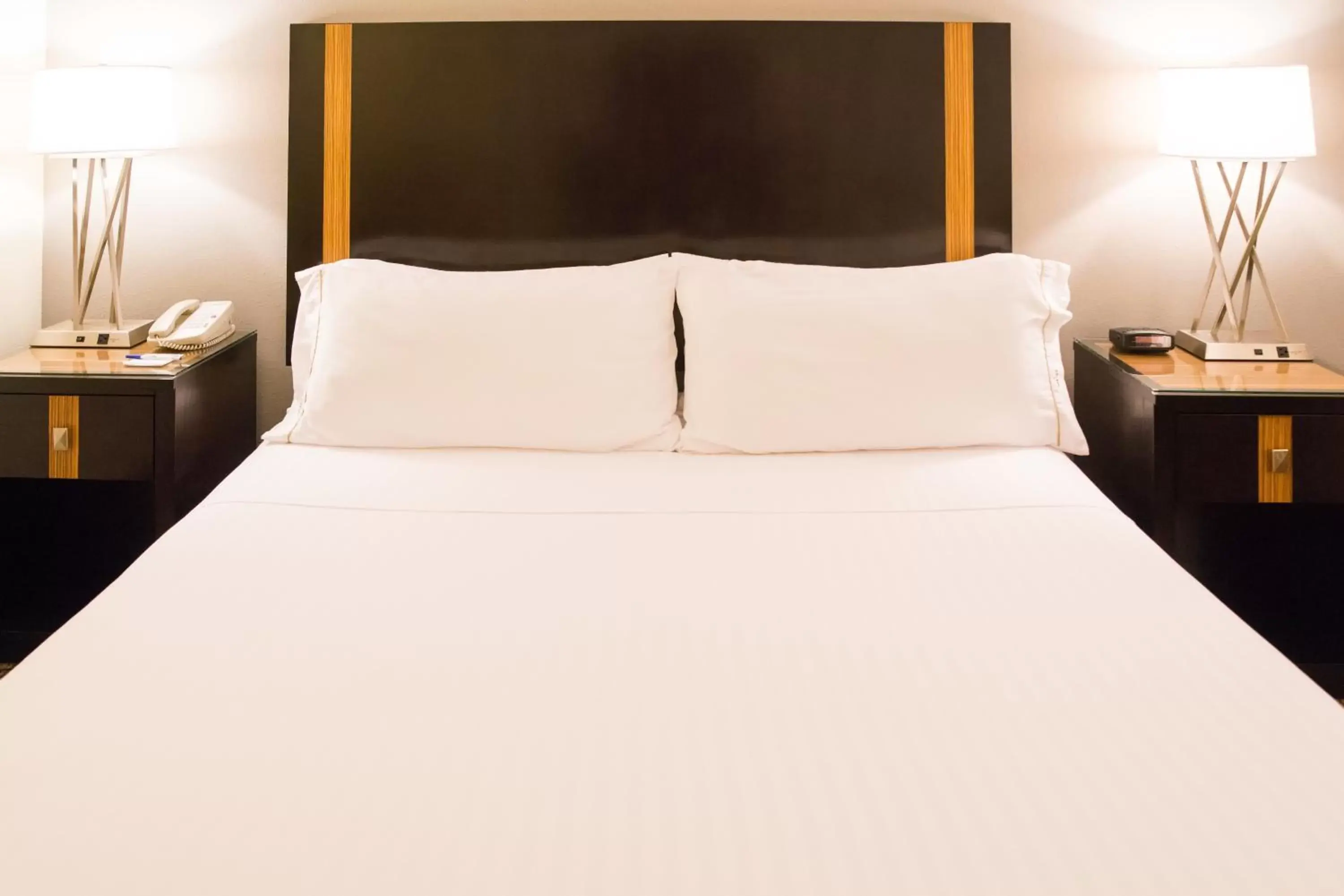 Executive King Room - Hearing Accessible - Non-Smoking in Holiday Inn Express Hotel & Suites Chanhassen, an IHG Hotel Executive King Room - Hearing Accessible - Non-Smoking in Holiday Inn Express Hotel & Suites Chanhassen, an IHG Hotel