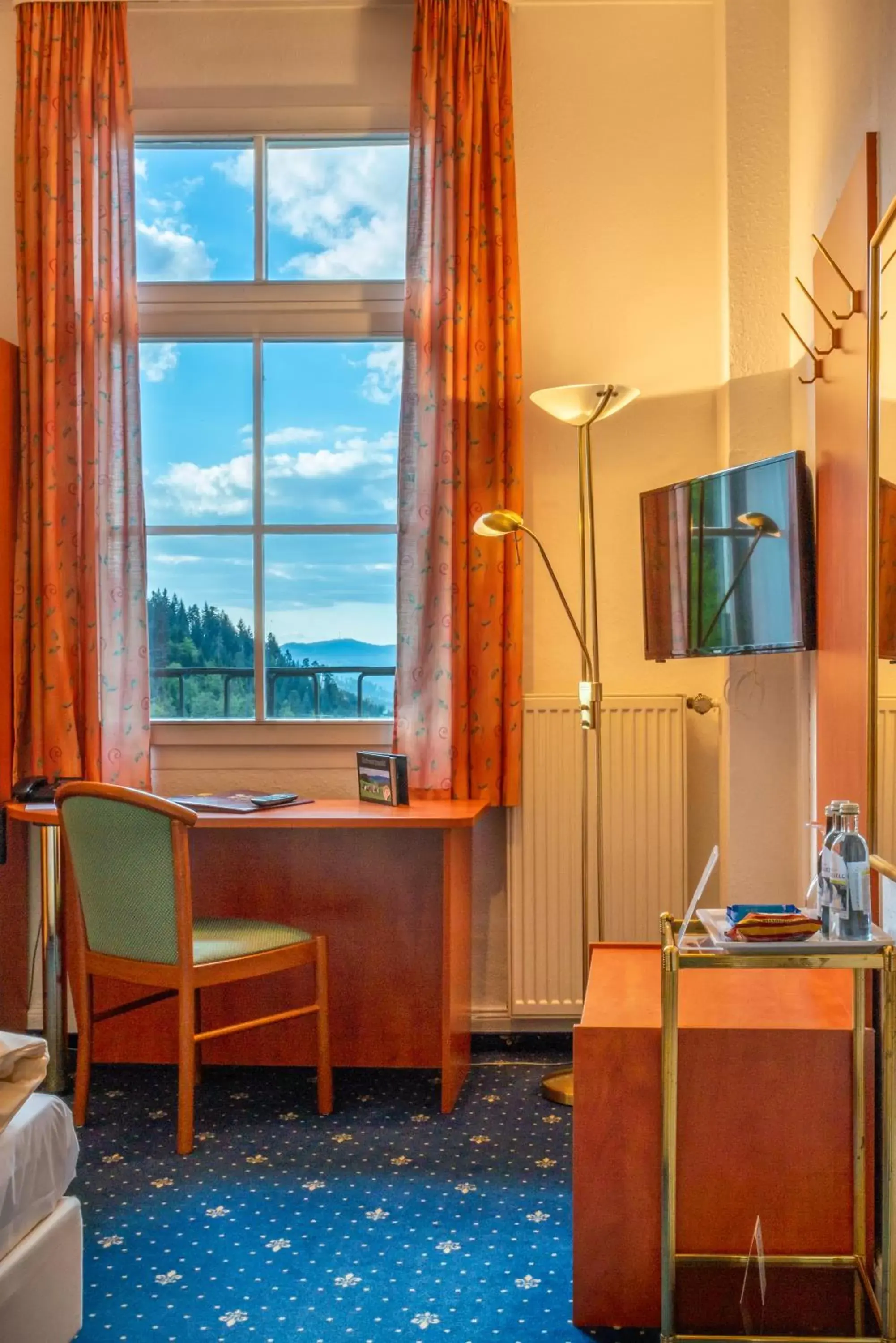 Standard Single Room in Hotel Schloss Hornberg Standard Single Room in Hotel Schloss Hornberg