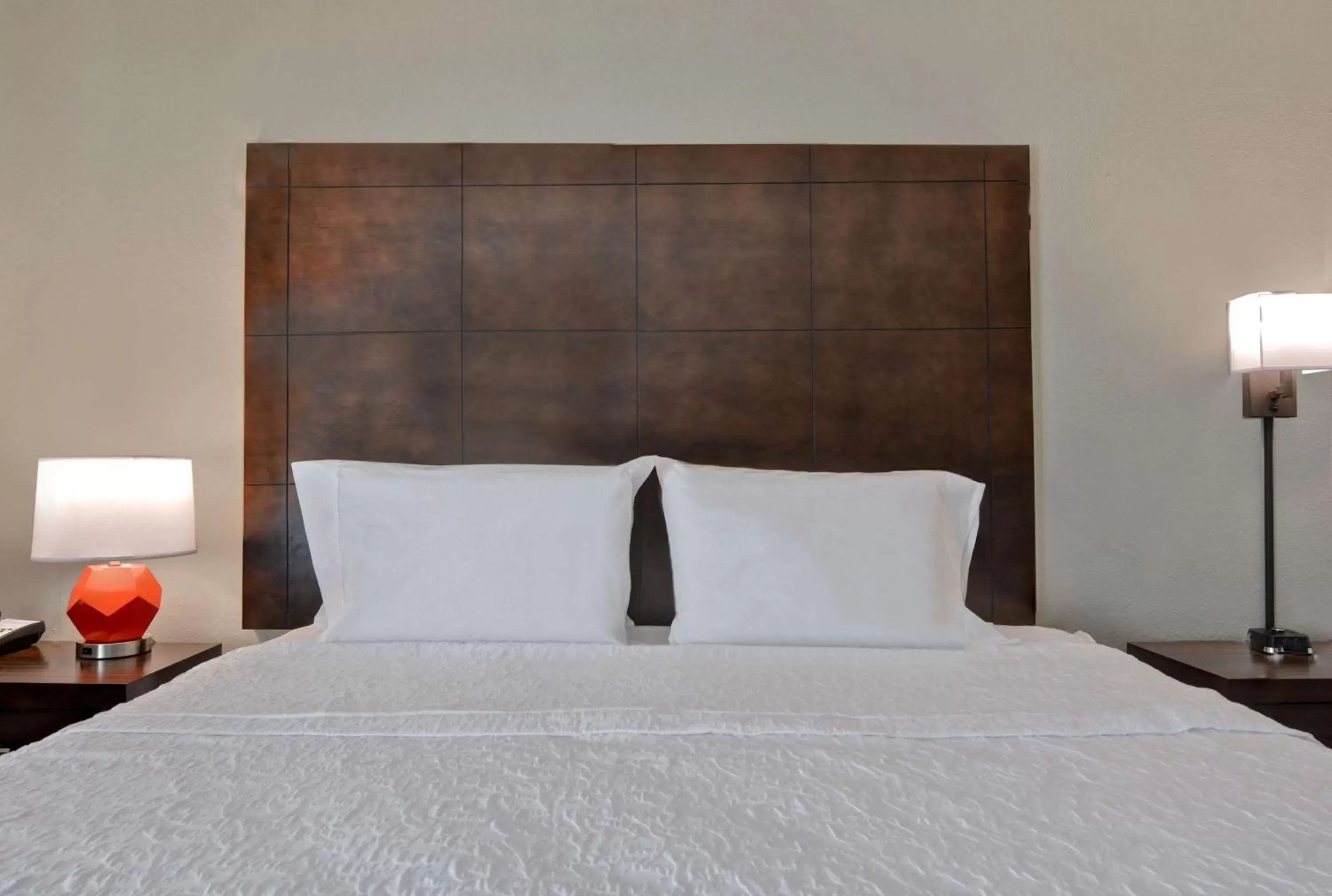 King Room - Mobility Access/Non-Smoking in Hampton Inn Anderson King Room - Mobility Access/Non-Smoking in Hampton Inn Anderson