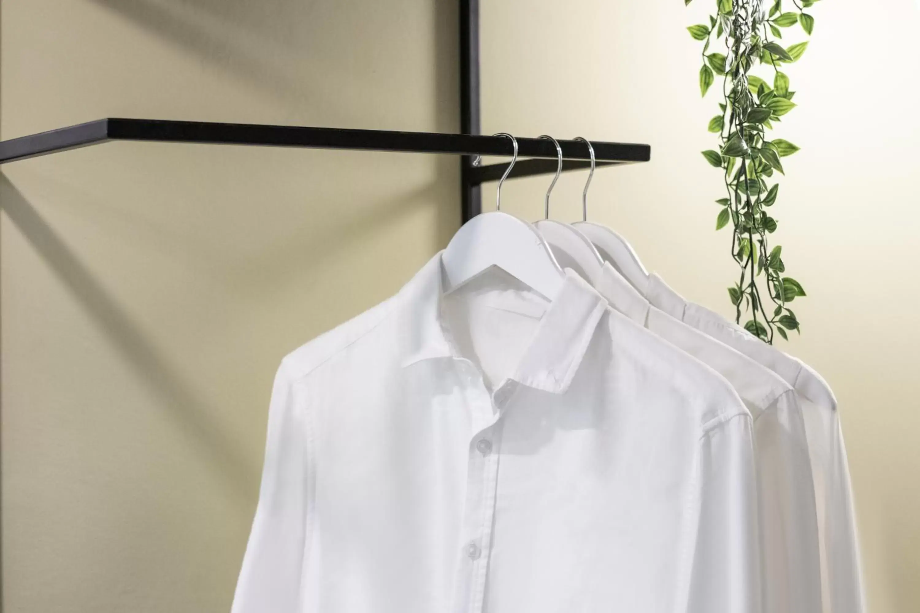 Deluxe Queen without Window in Harbour Ville Hotel - Hamilton Deluxe Queen without Window in Harbour Ville Hotel - Hamilton