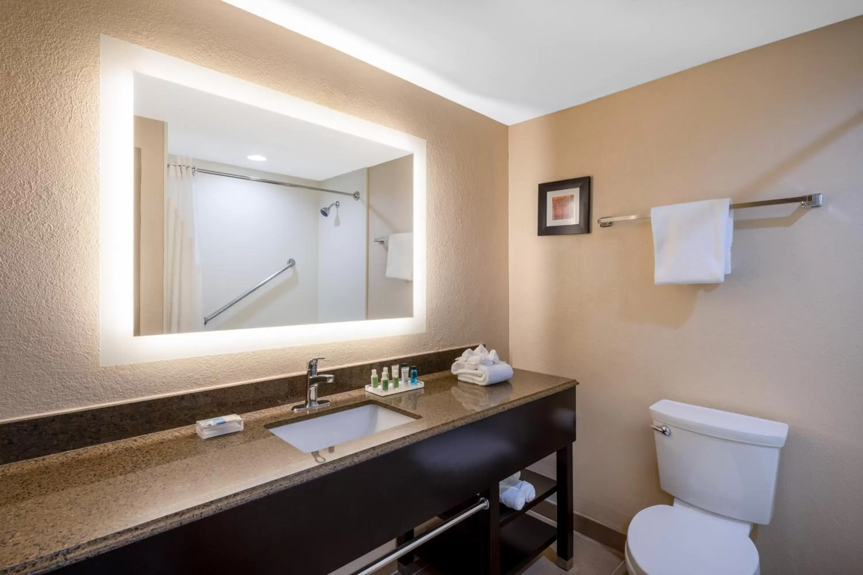 Standard King Room in Holiday Inn Poughkeepsie by IHG Standard King Room in Holiday Inn Poughkeepsie by IHG