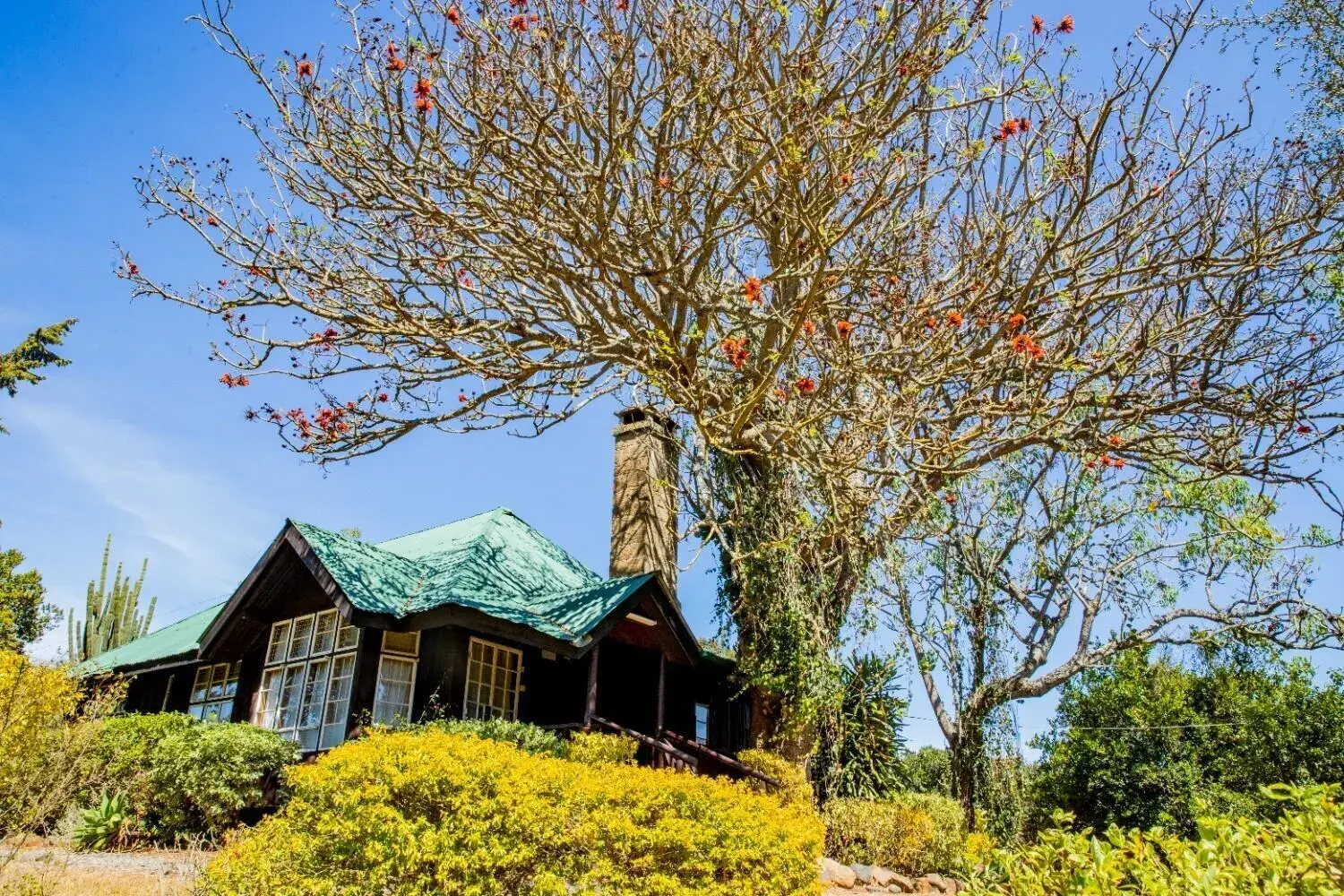 Holiday Home in Naro Moru River Lodge Holiday Home in Naro Moru River Lodge