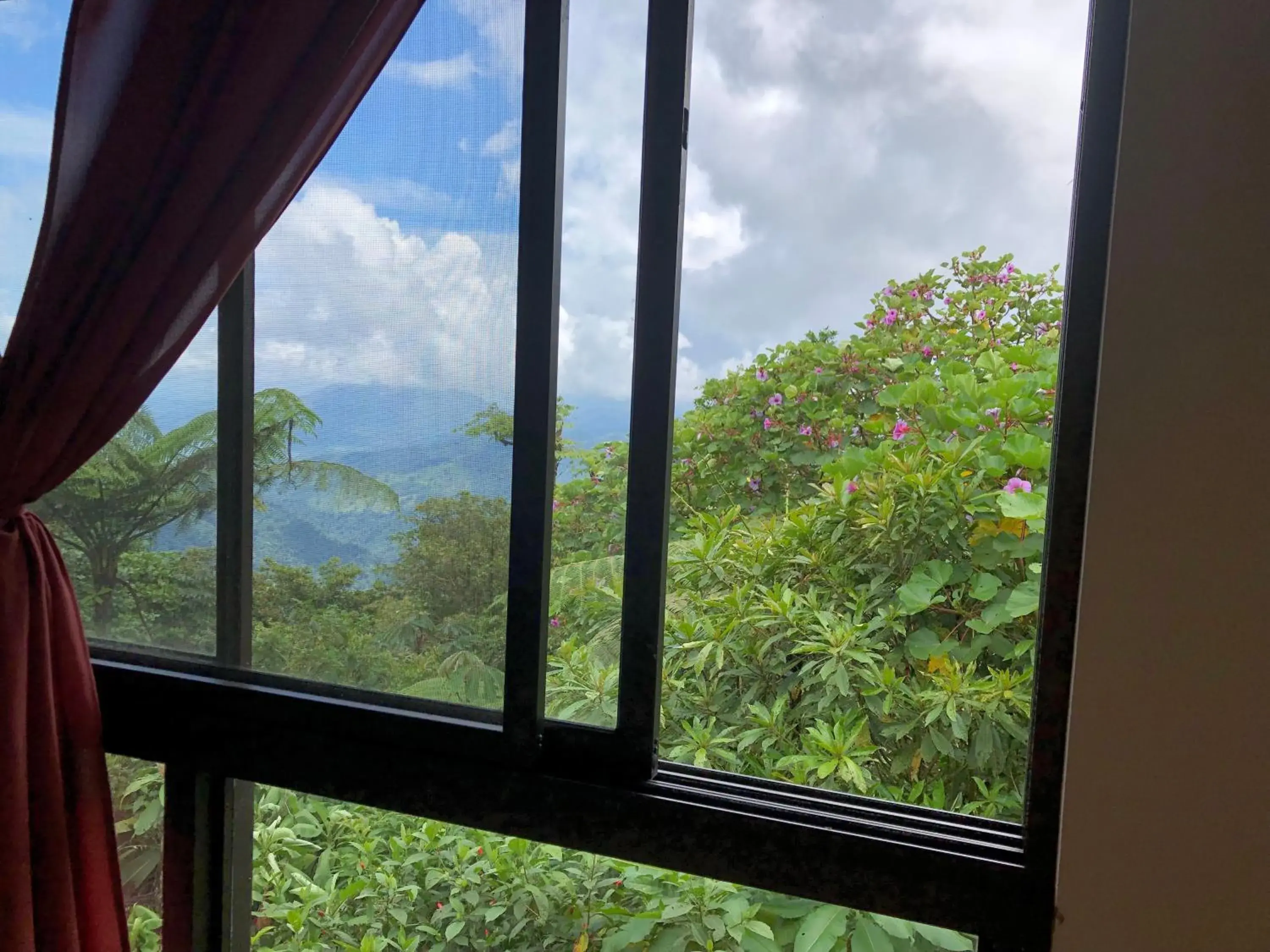 Superior Double Room with Two Double Beds in Vistaverde Lodge Superior Double Room with Two Double Beds in Vistaverde Lodge