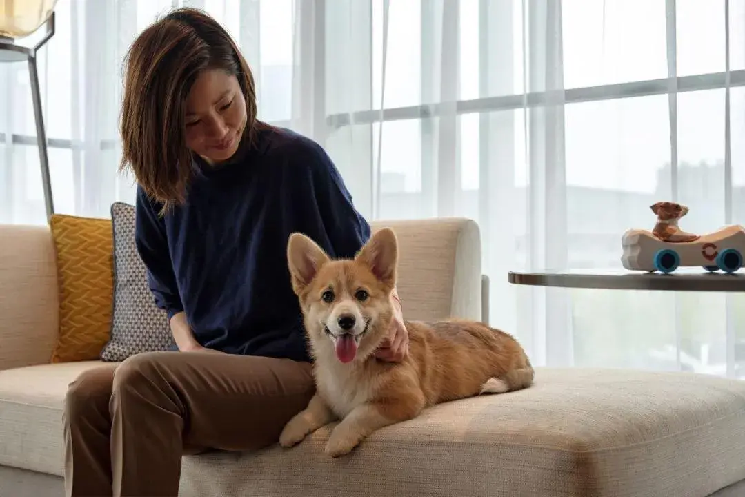 Premium Room - Pet Friendly in Hyatt Centric Gaoxin Xi'An Premium Room - Pet Friendly in Hyatt Centric Gaoxin Xi'An