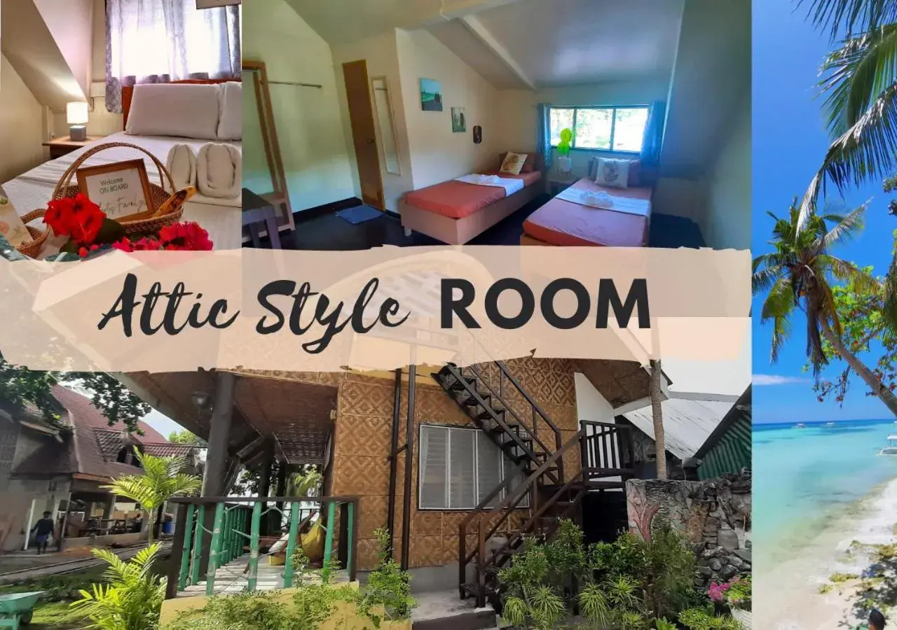 Standard Twin Room in On Board Panglao Beach Hostel & Resort with FREE MOTORBIKE Standard Twin Room in On Board Panglao Beach Hostel & Resort with FREE MOTORBIKE