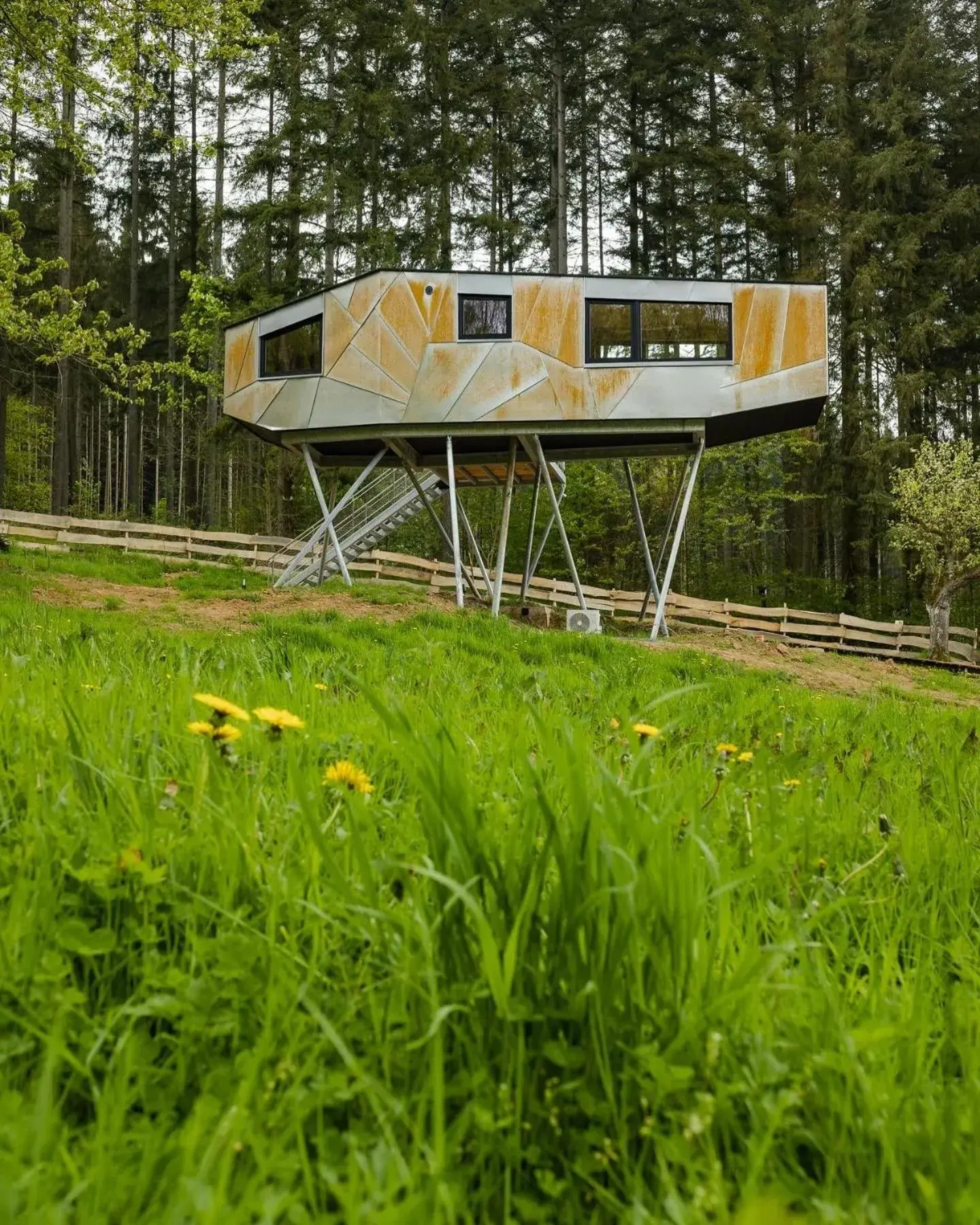 Deluxe Double Studio in Baumhausapartment Deluxe Double Studio in Baumhausapartment